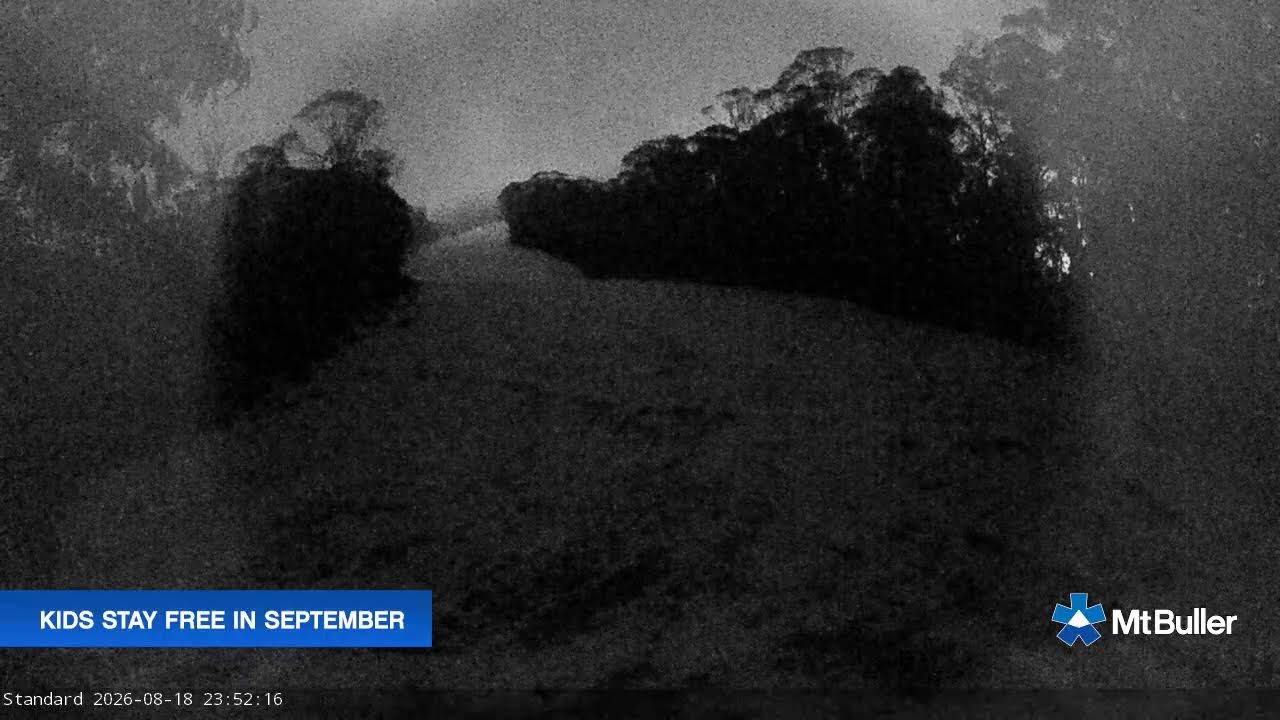 Mt Buller Standard Run Live snow cam captured at 18 August 2026 at 11:55 pm AEST