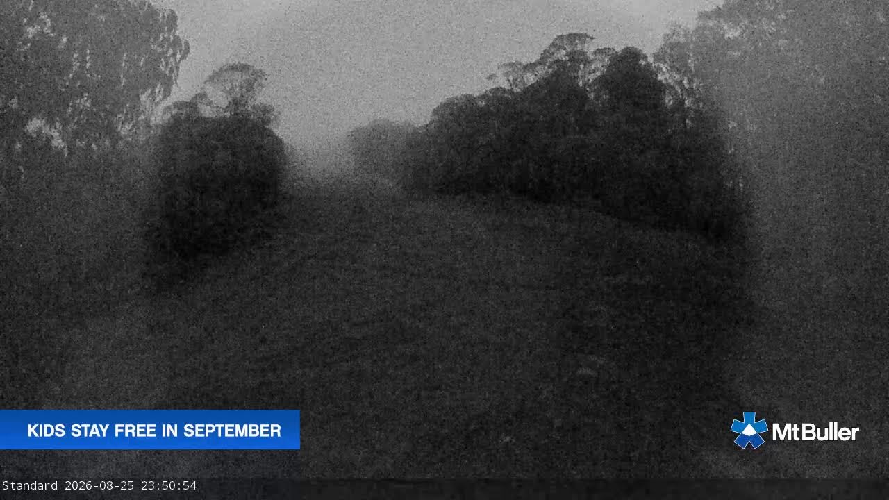 Mt Buller Standard Run Live snow cam captured at 25 August 2026 at 11:55 pm AEST