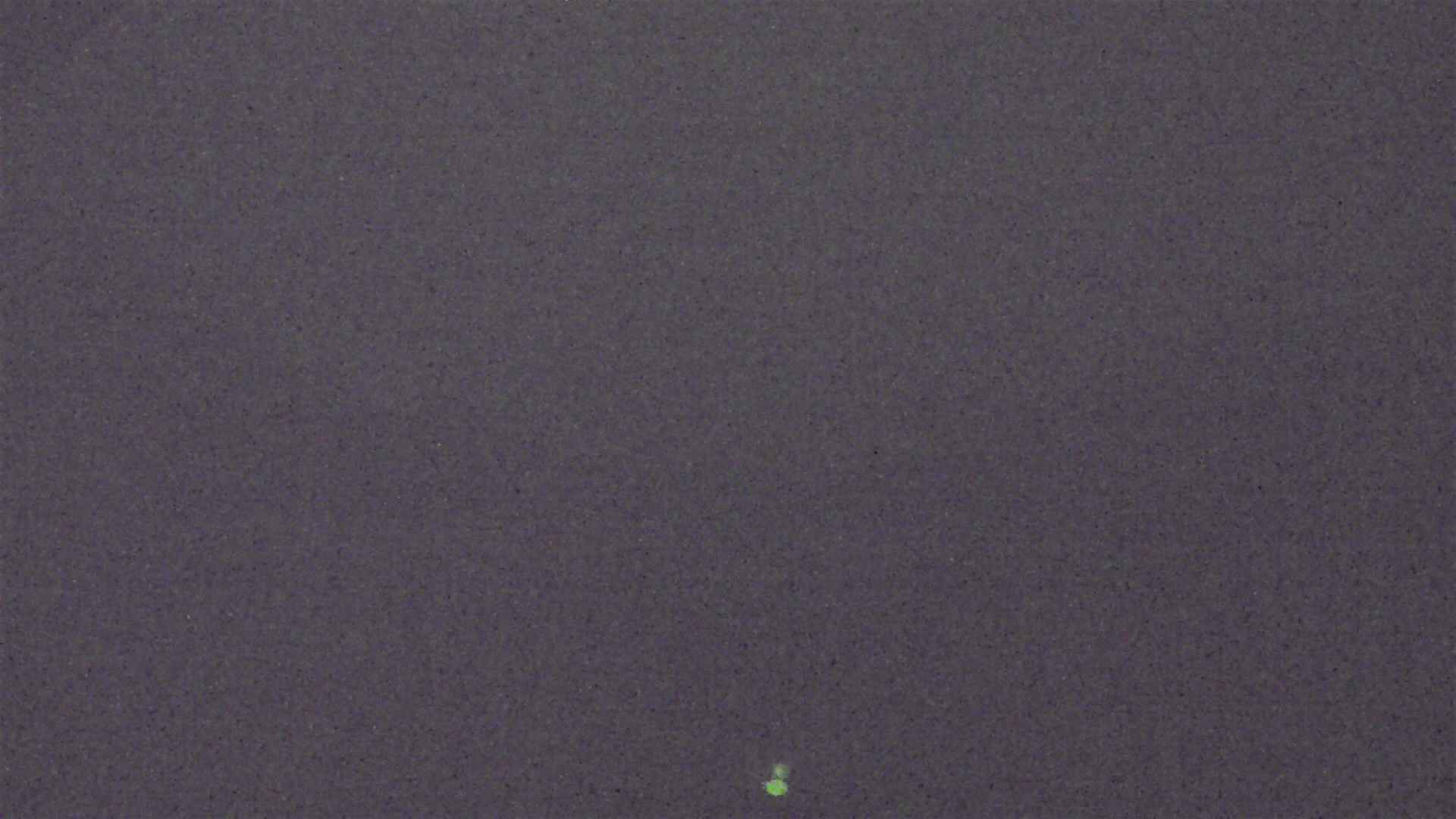 Cradle Mountain Dove Lake Carpark snow cam captured at 3 July 2026 at 9:20 pm AEST