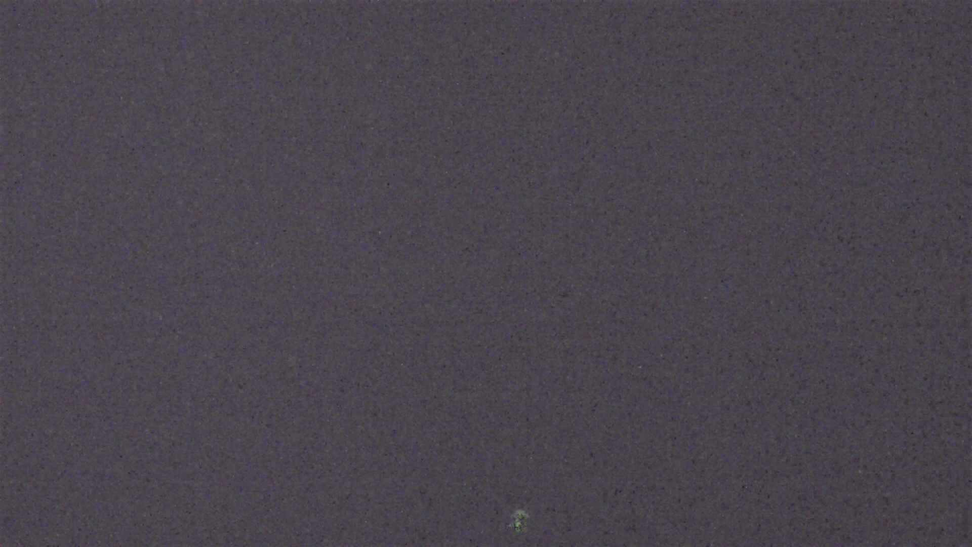 Cradle Mountain Dove Lake Carpark snow cam captured at 4 July 2026 at 9:05 pm AEST