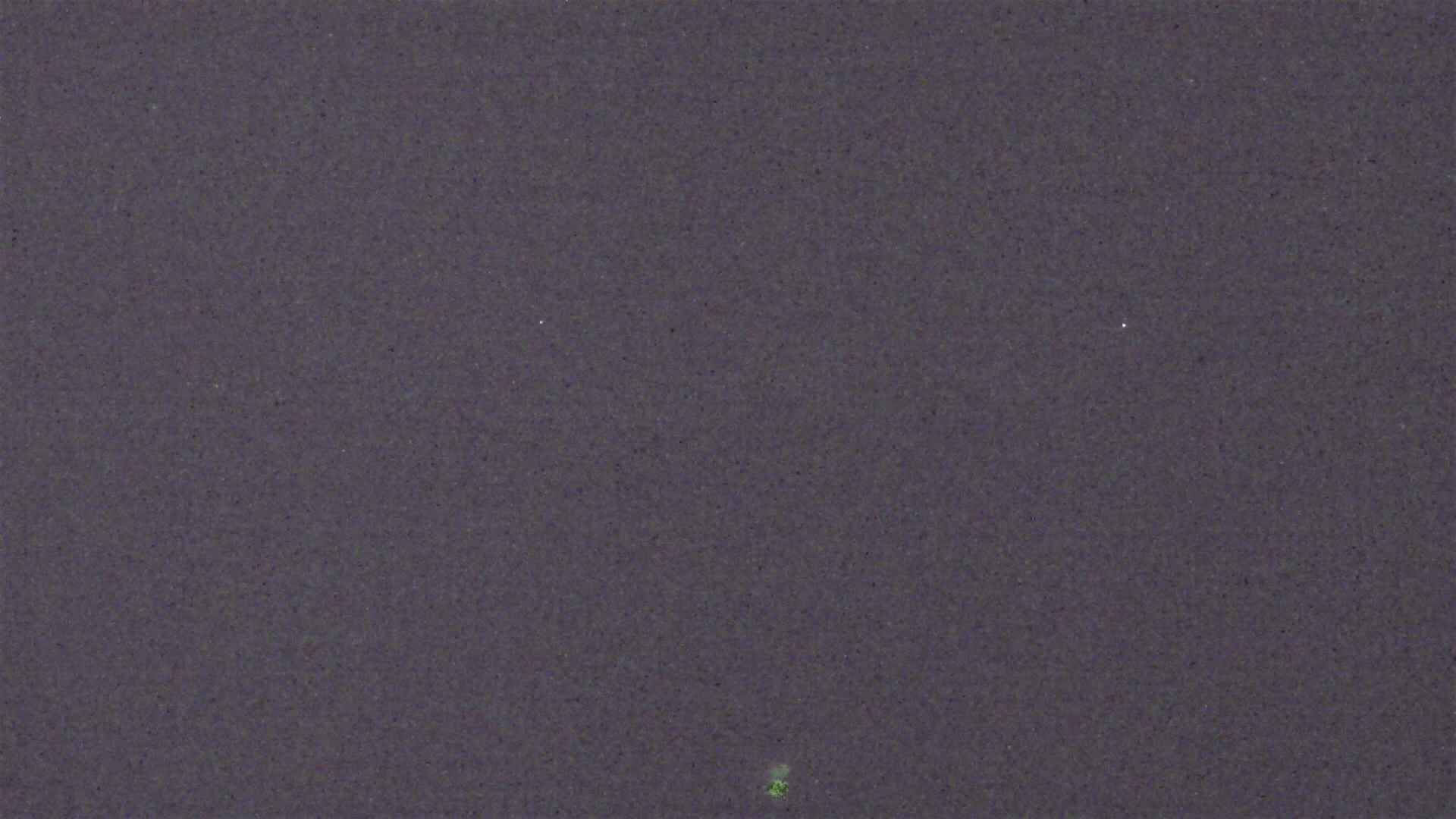 Cradle Mountain Dove Lake Carpark snow cam captured at 5 July 2026 at 9:22 pm AEST