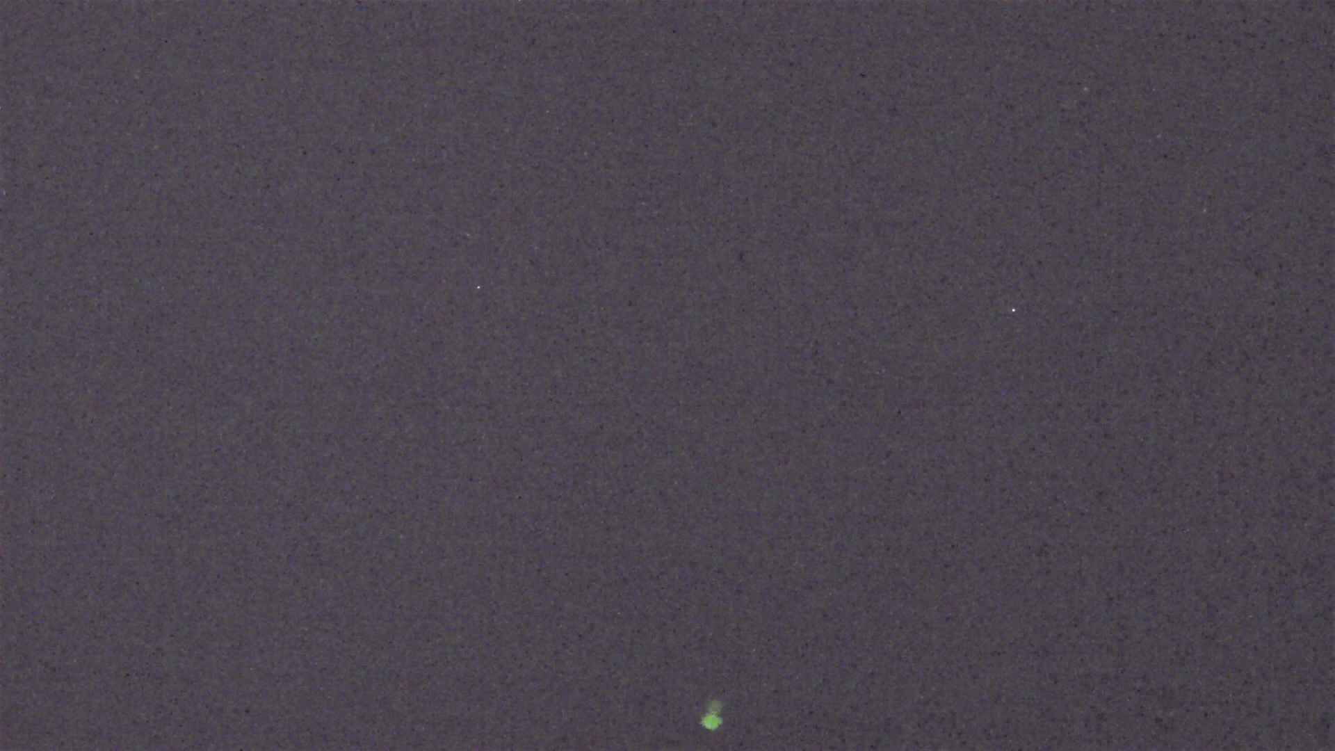 Cradle Mountain Dove Lake Carpark snow cam captured at 6 July 2026 at 9:08 pm AEST