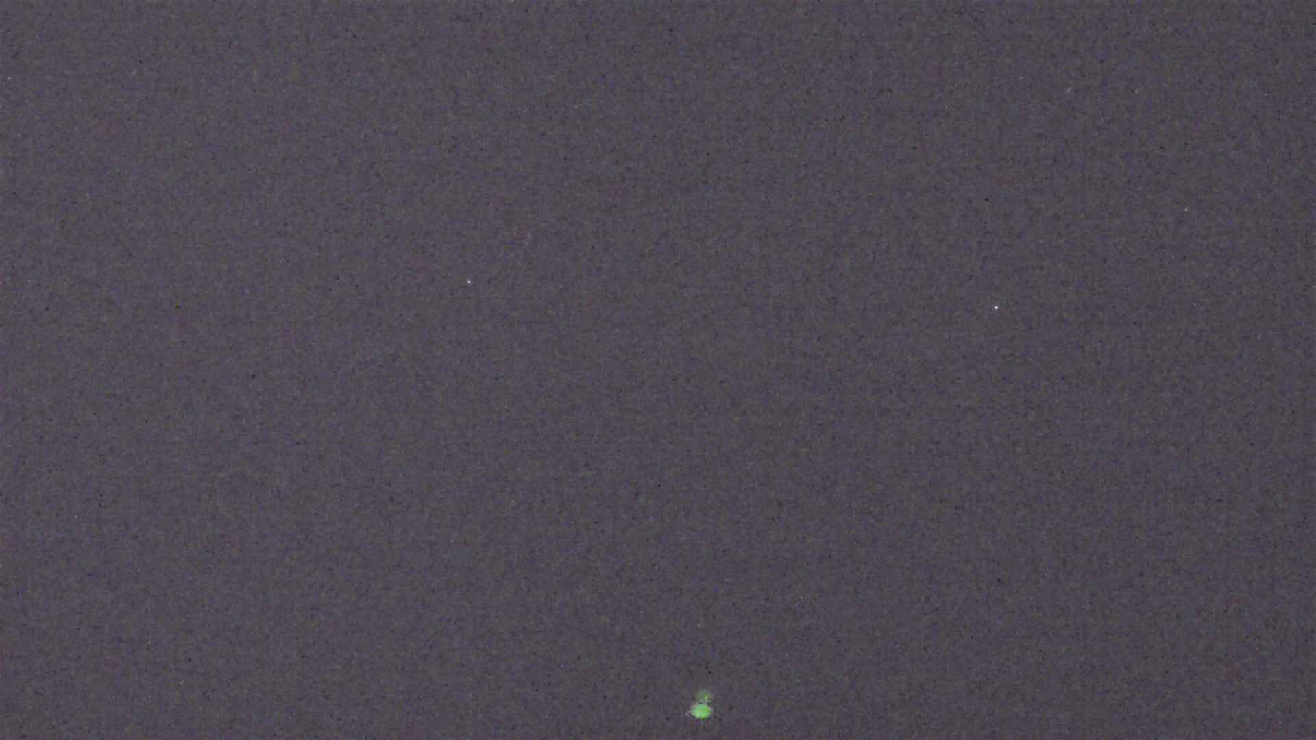 Cradle Mountain Dove Lake Carpark snow cam captured at 7 July 2026 at 9:25 pm AEST