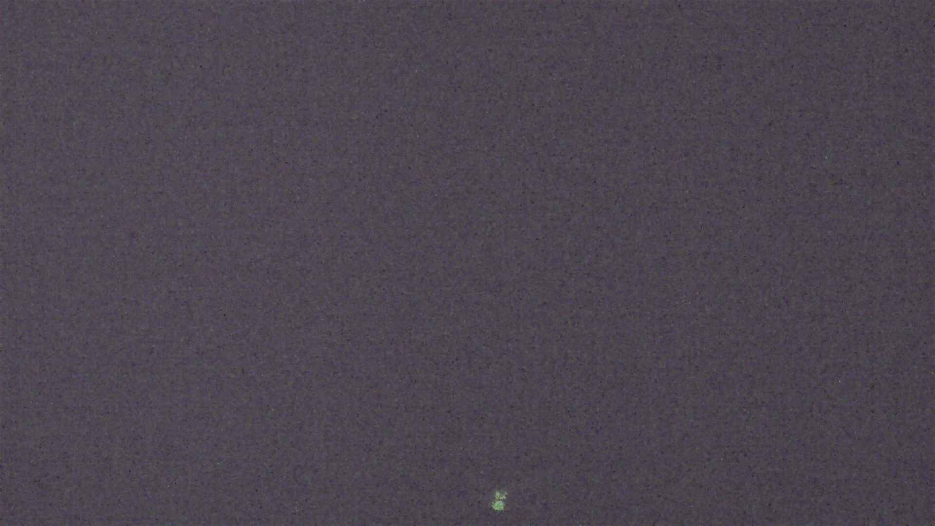 Cradle Mountain Dove Lake Carpark snow cam captured at 8 July 2026 at 9:11 pm AEST