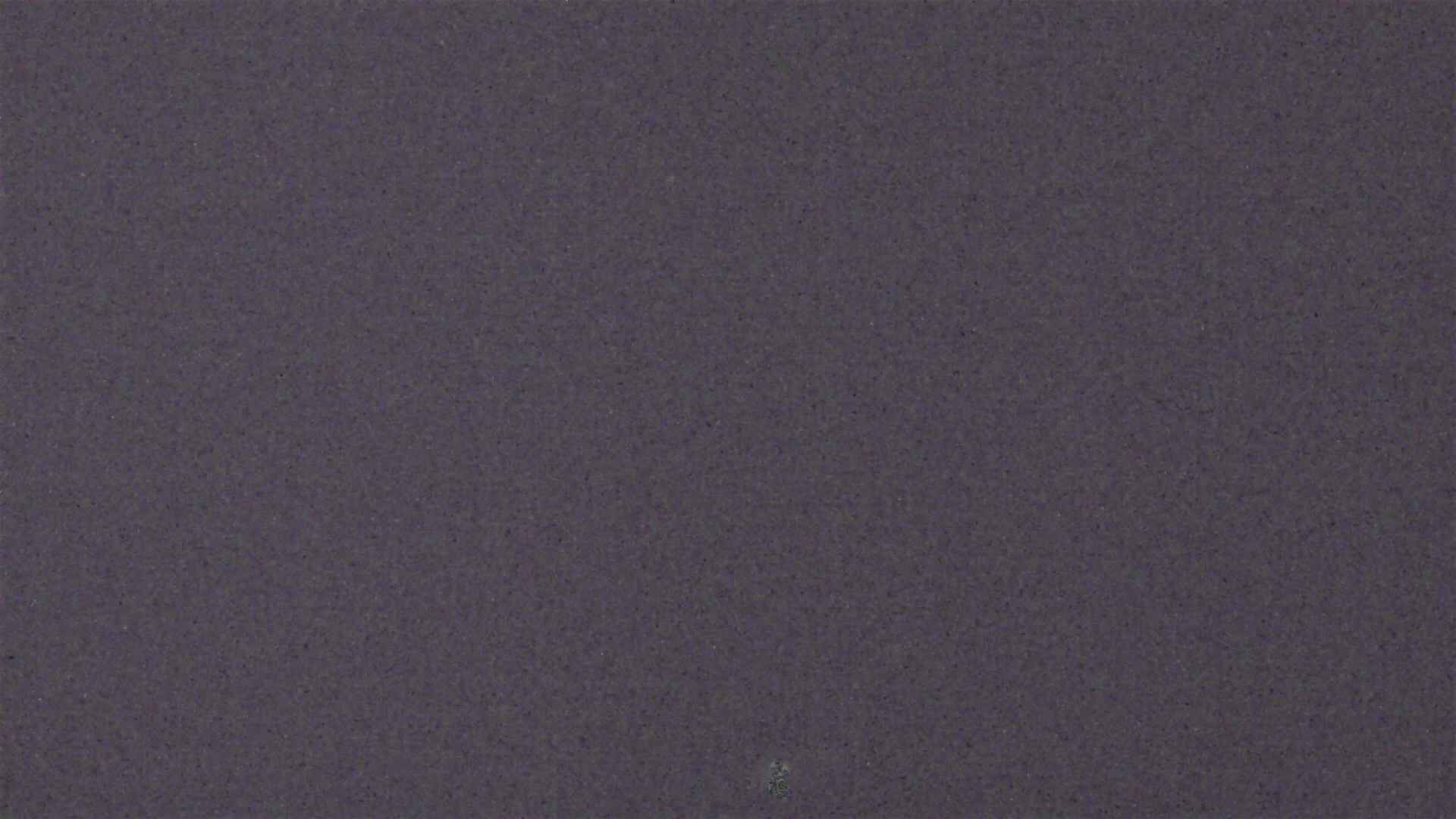 Cradle Mountain Dove Lake Carpark snow cam captured at 10 July 2026 at 9:14 pm AEST