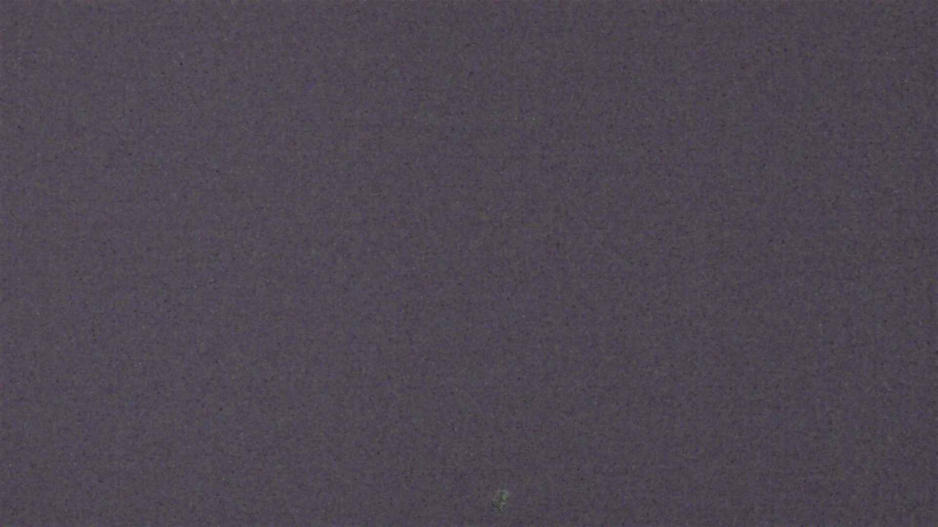 Cradle Mountain Dove Lake Carpark snow cam captured at 11 July 2026 at 8:59 pm AEST