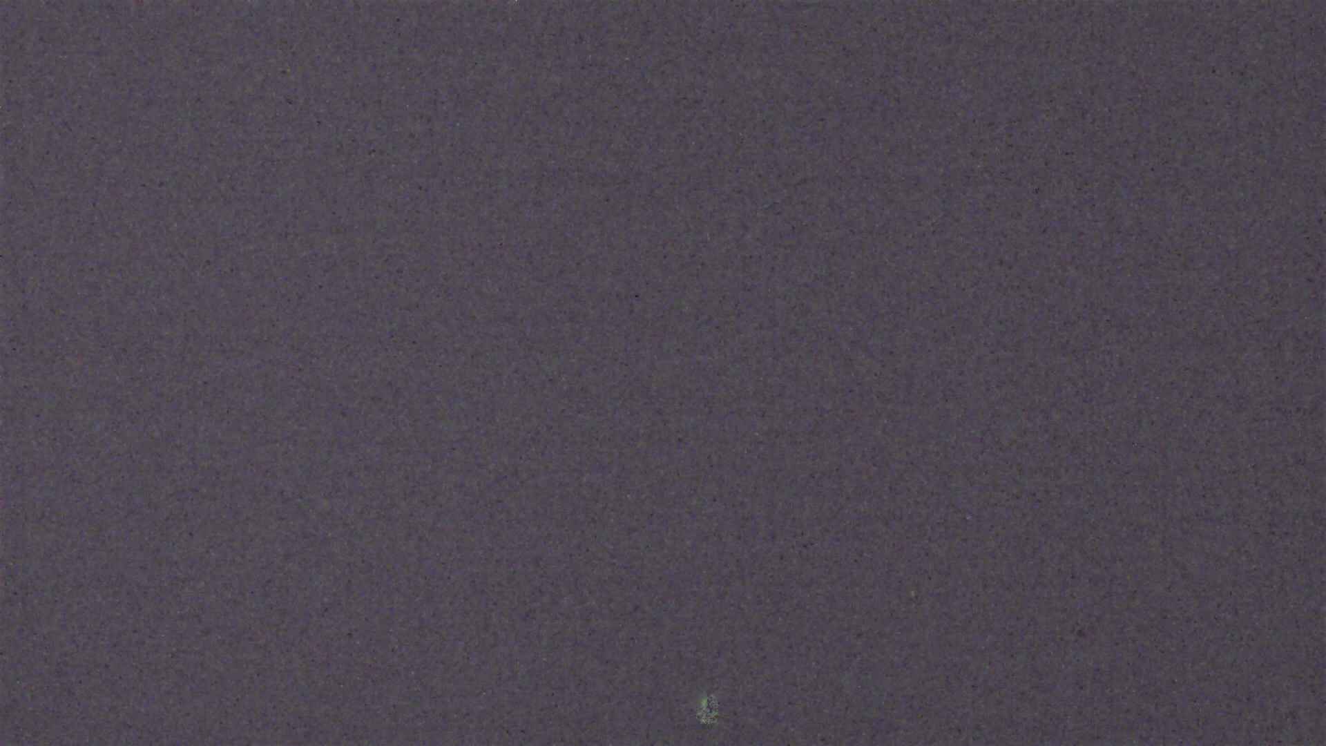 Cradle Mountain Dove Lake Carpark snow cam captured at 12 July 2026 at 9:16 pm AEST