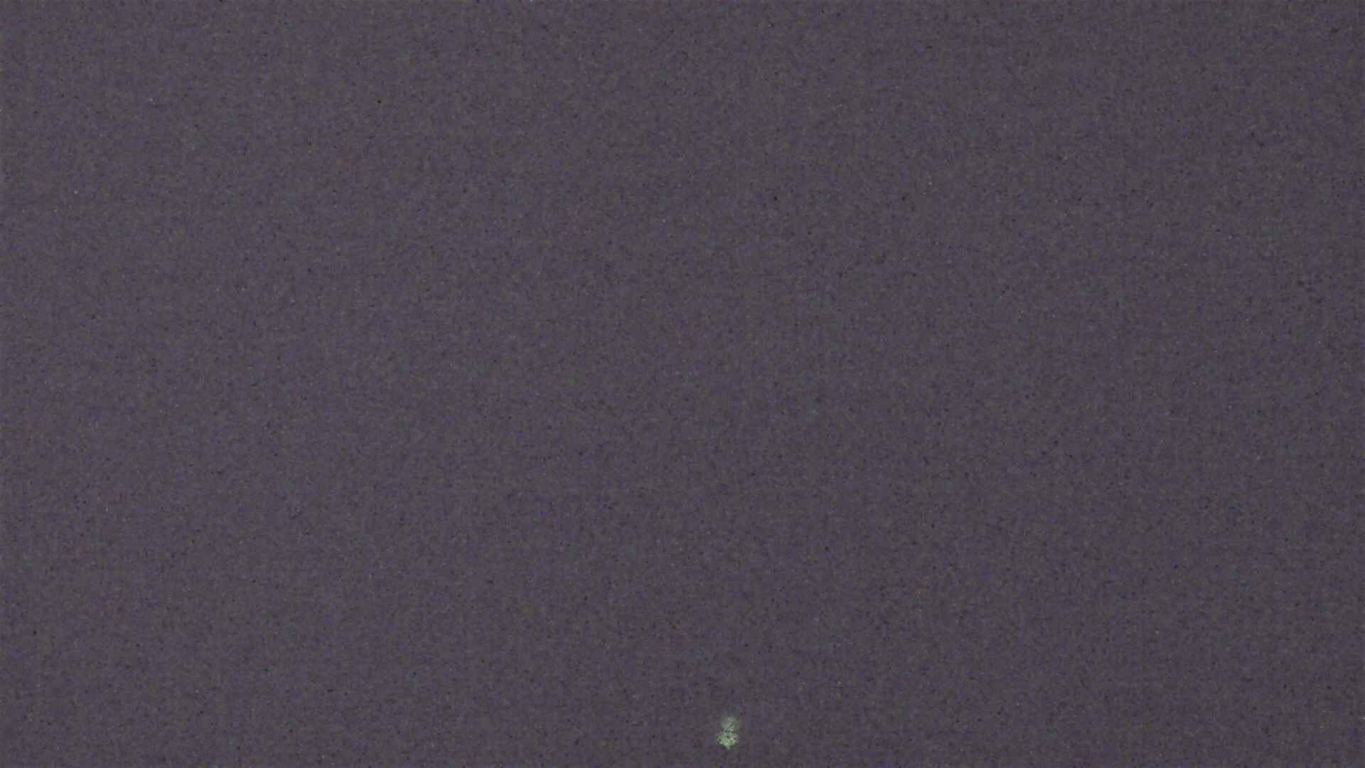 Cradle Mountain Dove Lake Carpark snow cam captured at 17 August 2026 at 9:21 pm AEST