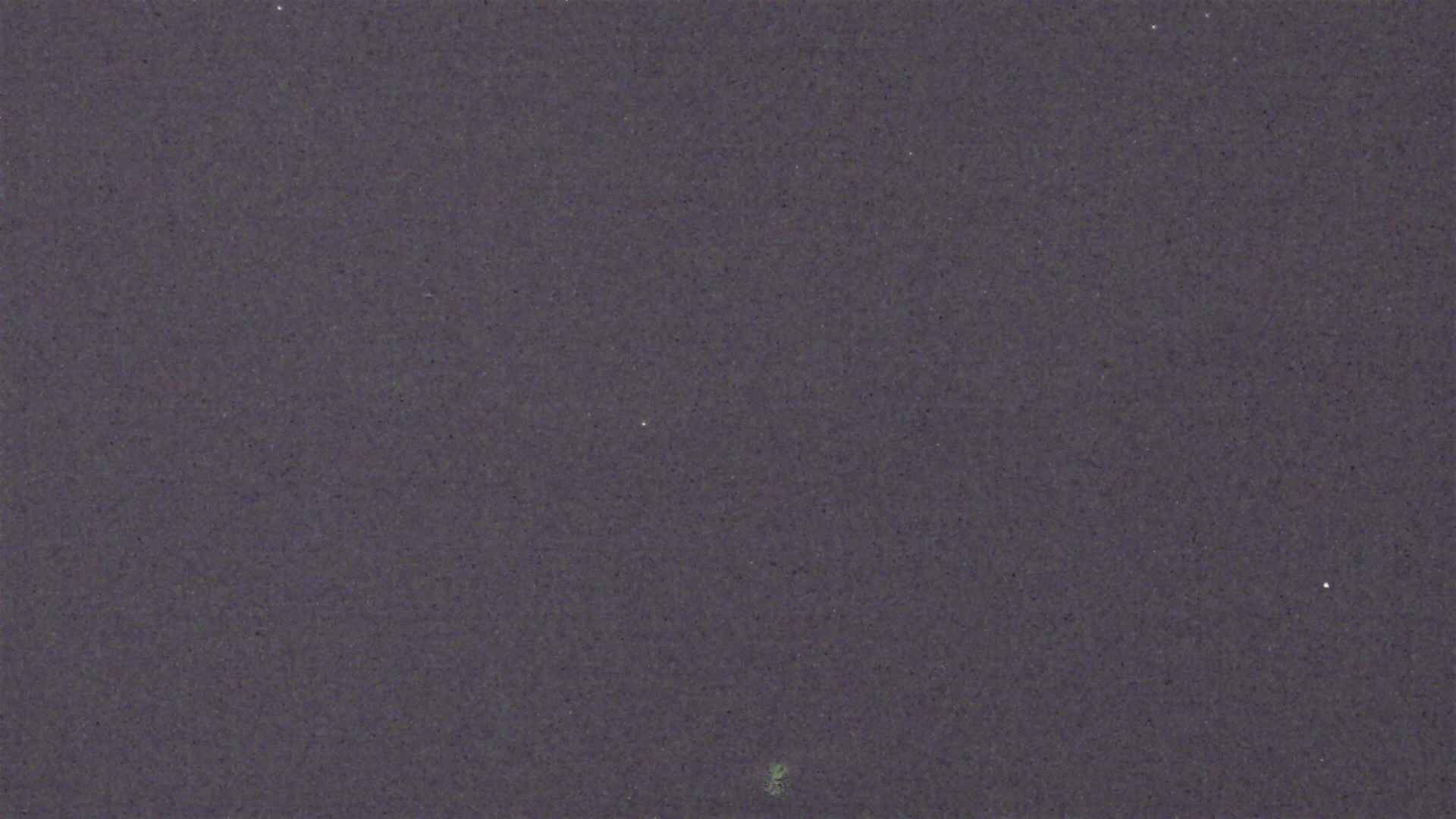 Cradle Mountain Dove Lake Carpark snow cam captured at 31 August 2026 at 9:10 pm AEST