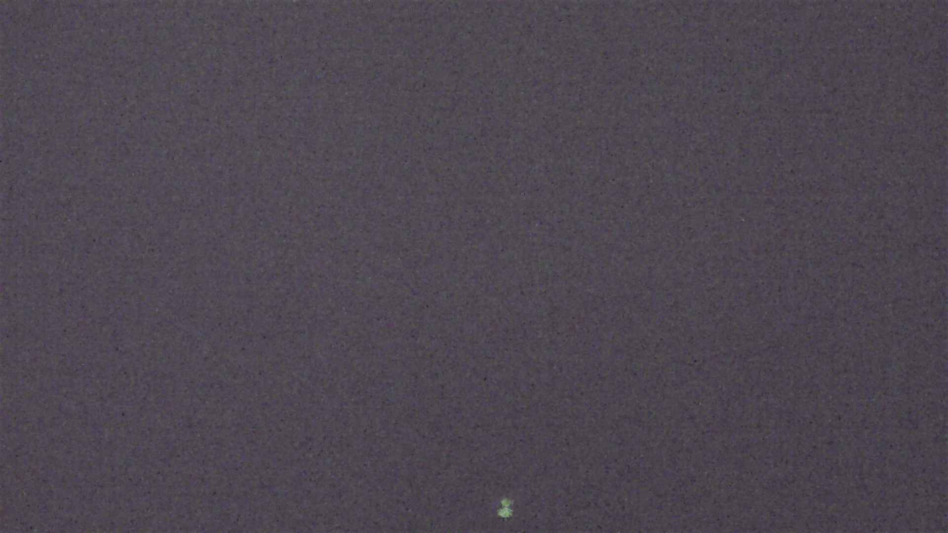 Cradle Mountain Dove Lake Carpark snow cam captured at 1 September 2026 at 11:50 pm AEST