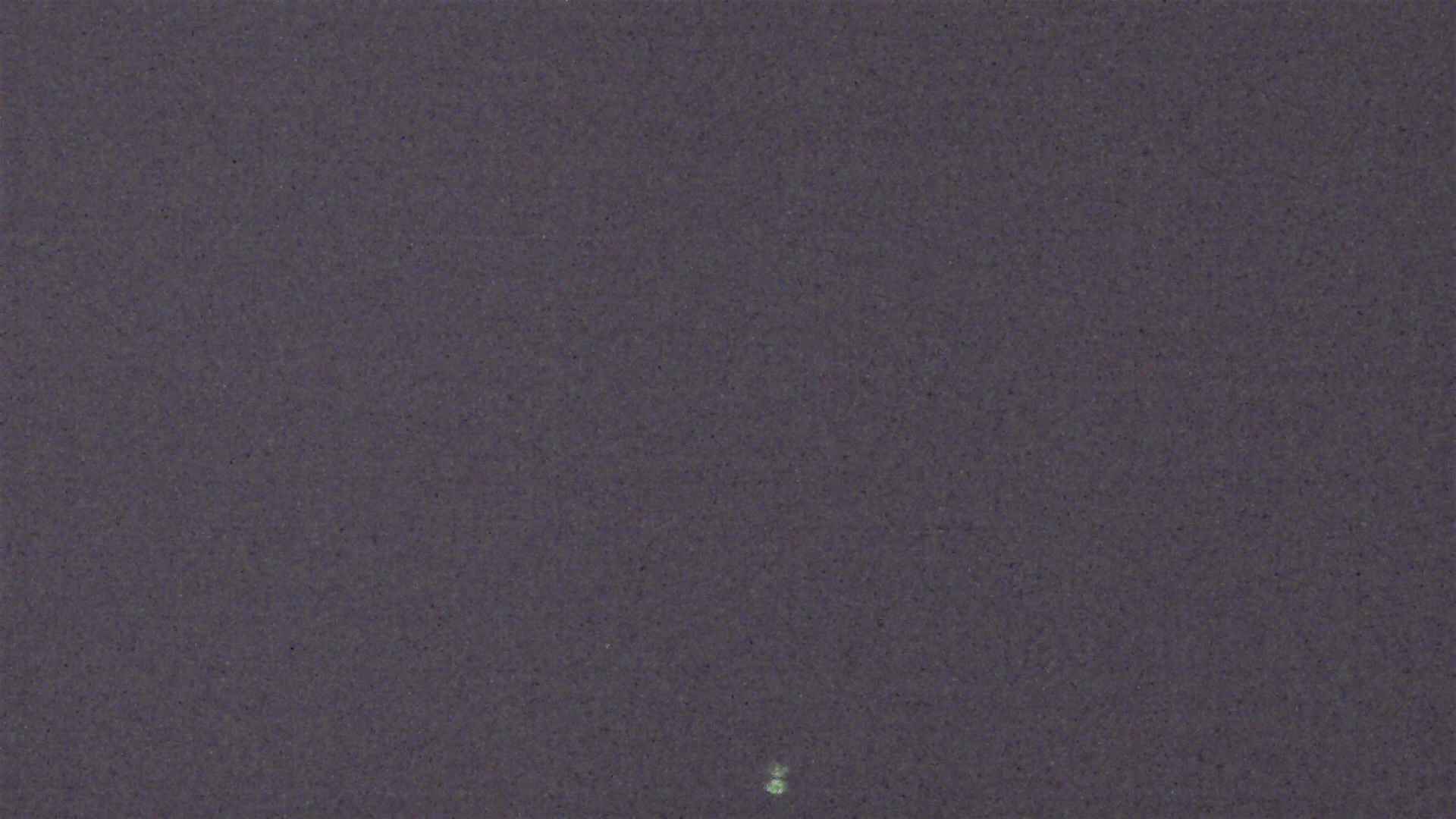 Cradle Mountain Dove Lake Carpark snow cam captured at 2 September 2026 at 9:01 pm AEST