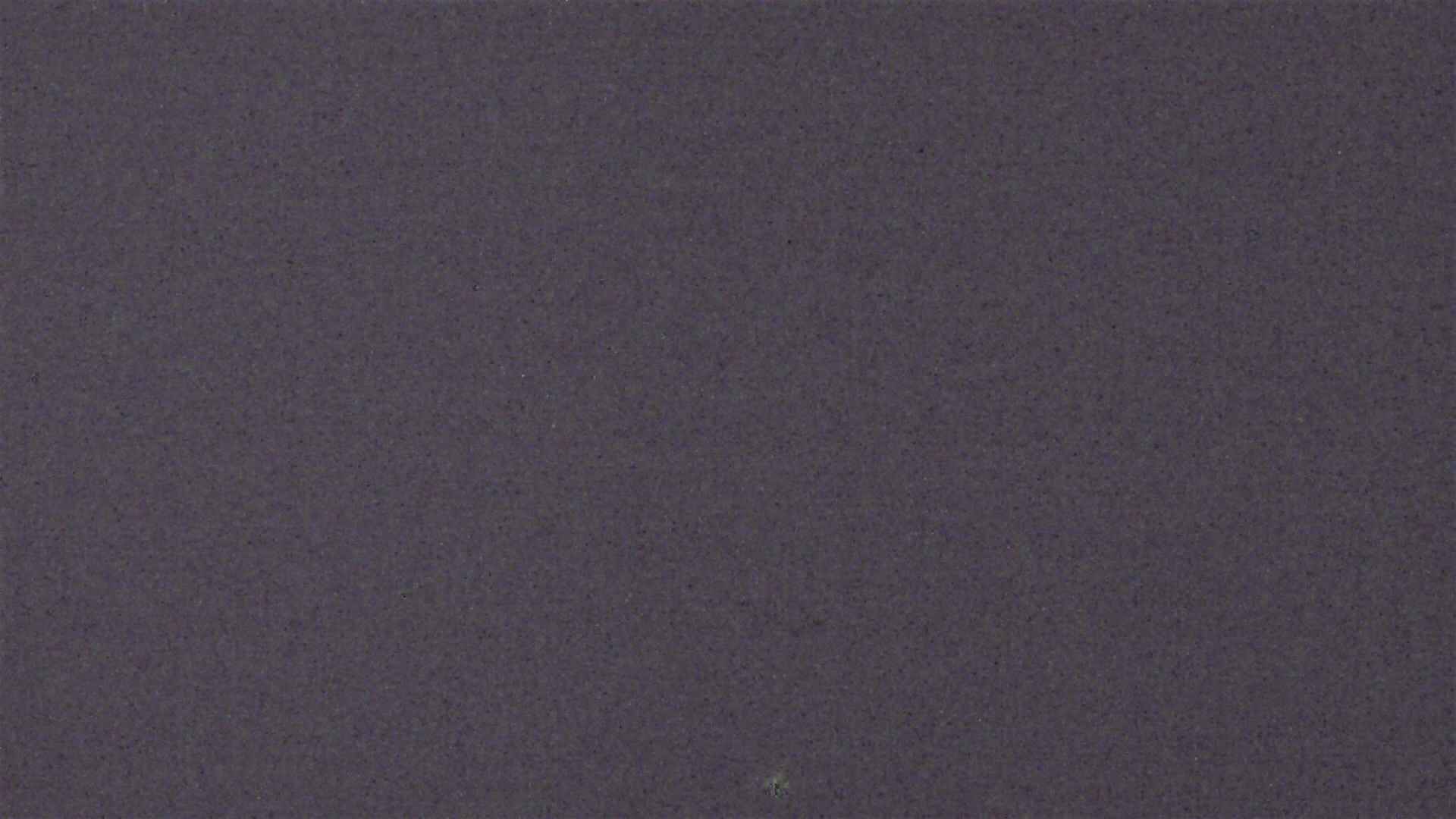 Cradle Mountain Dove Lake Carpark snow cam captured at 3 September 2026 at 9:09 pm AEST