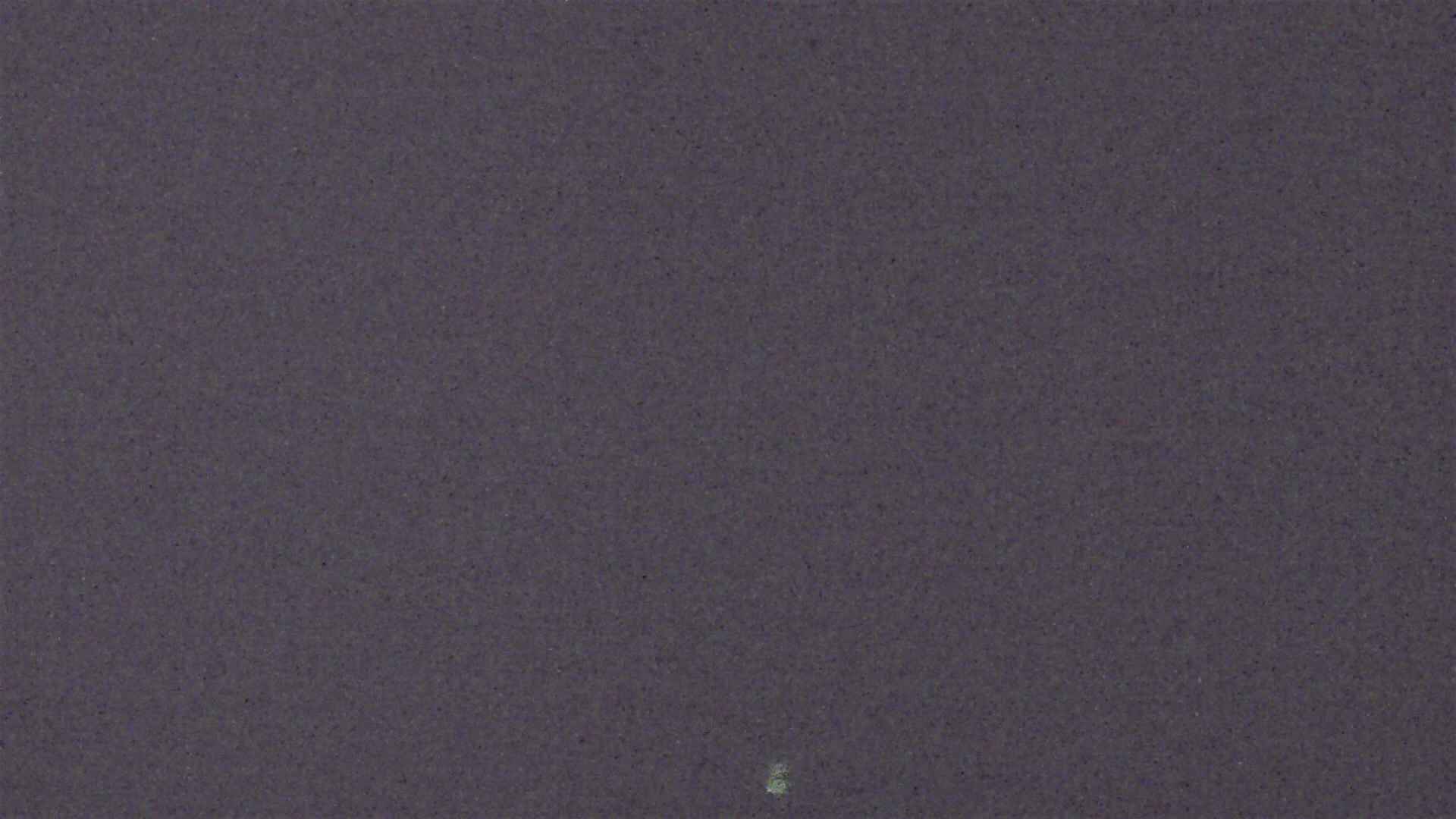 Cradle Mountain Dove Lake Carpark snow cam captured at 4 September 2026 at 8:52 pm AEST