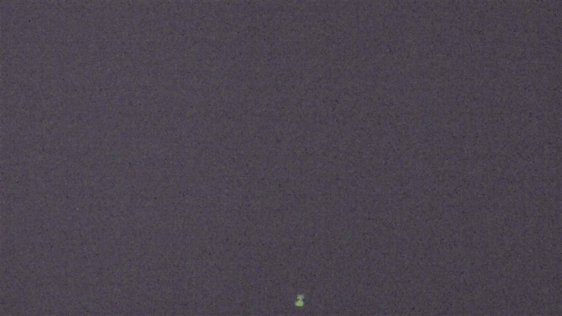 Cradle Mountain Dove Lake Carpark snow cam captured at 5 September 2026 at 8:59 pm AEST