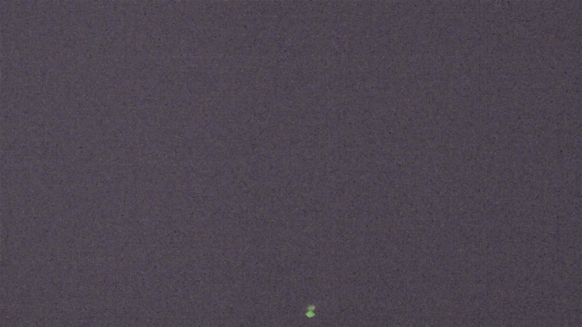 Cradle Mountain Dove Lake Carpark snow cam captured at 6 September 2026 at 9:12 pm AEST