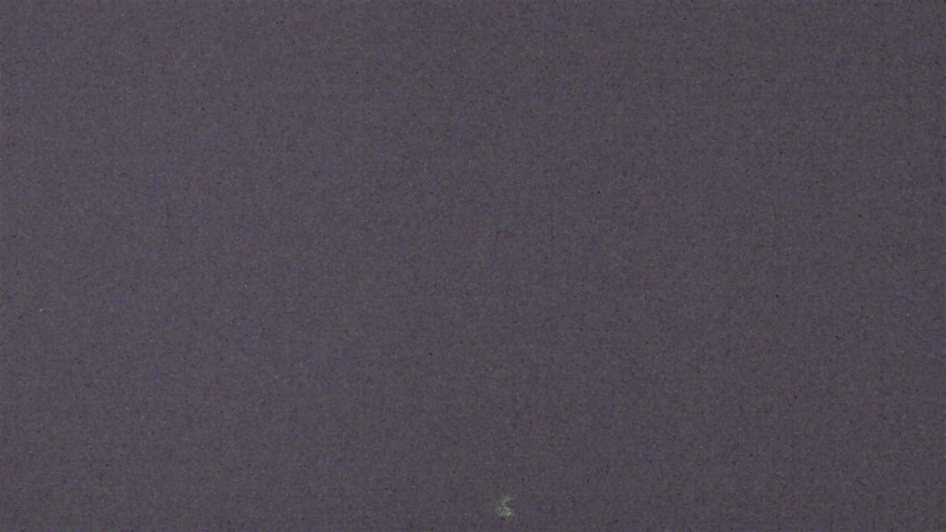 Cradle Mountain Dove Lake Carpark snow cam captured at 8 September 2026 at 11:43 pm AEST