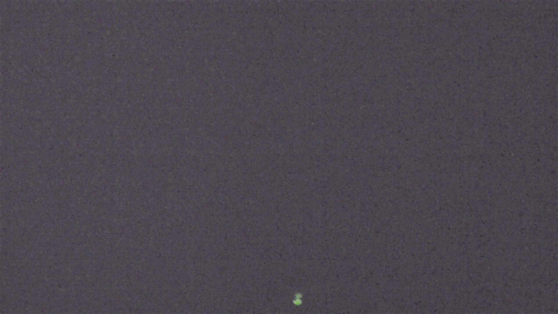 Cradle Mountain Dove Lake Carpark snow cam captured at 9 September 2026 at 8:54 pm AEST