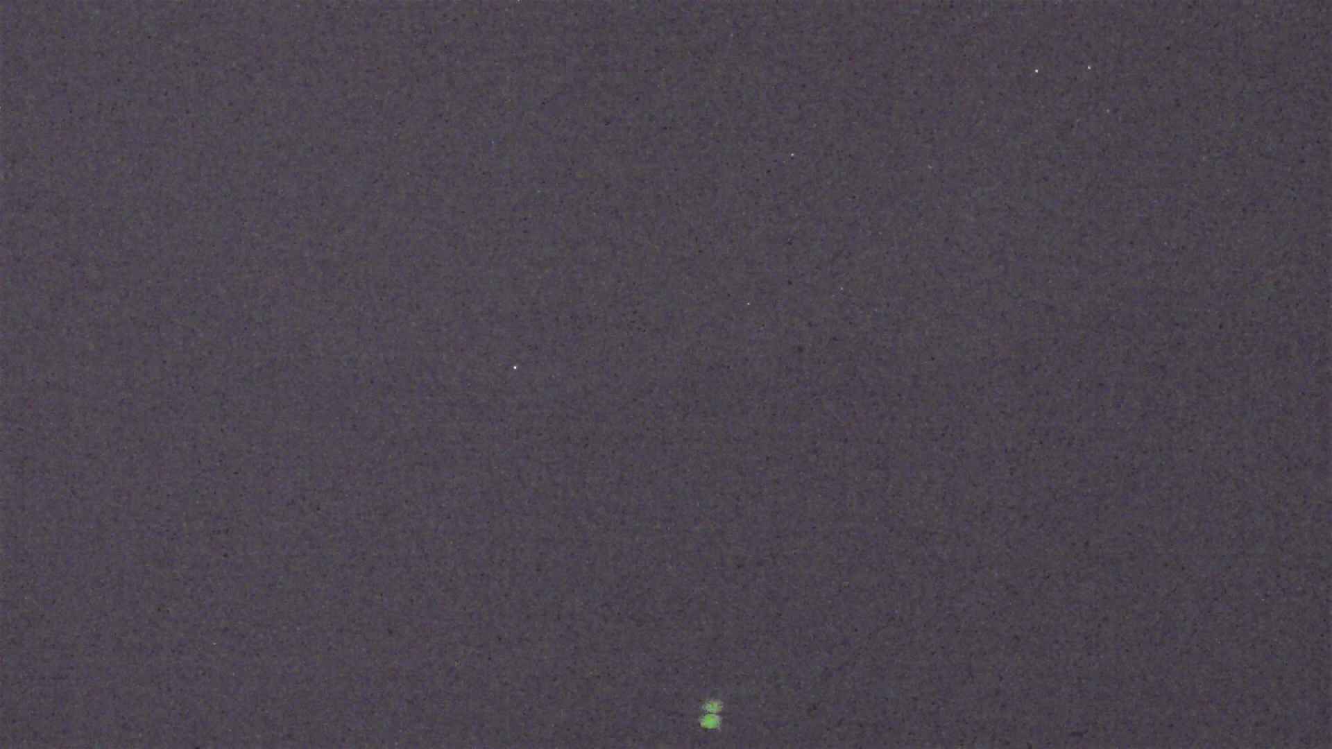 Cradle Mountain Dove Lake Carpark snow cam captured at 10 September 2026 at 9:10 pm AEST