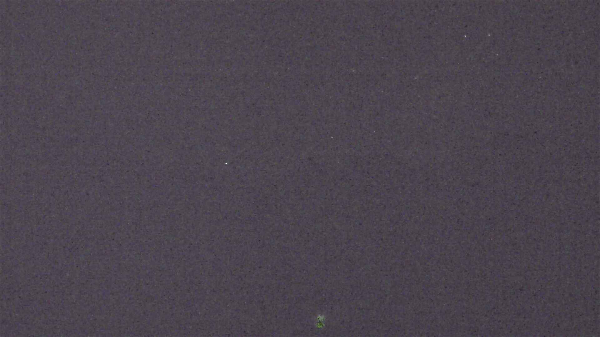 Cradle Mountain Dove Lake Carpark snow cam captured at 11 September 2026 at 9:21 pm AEST