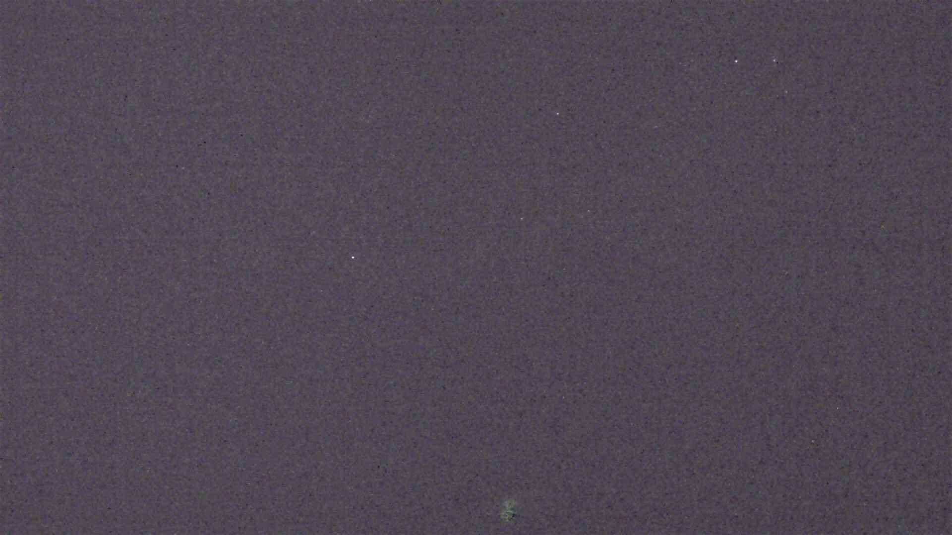 Cradle Mountain Dove Lake Carpark snow cam captured at 12 September 2026 at 9:03 pm AEST