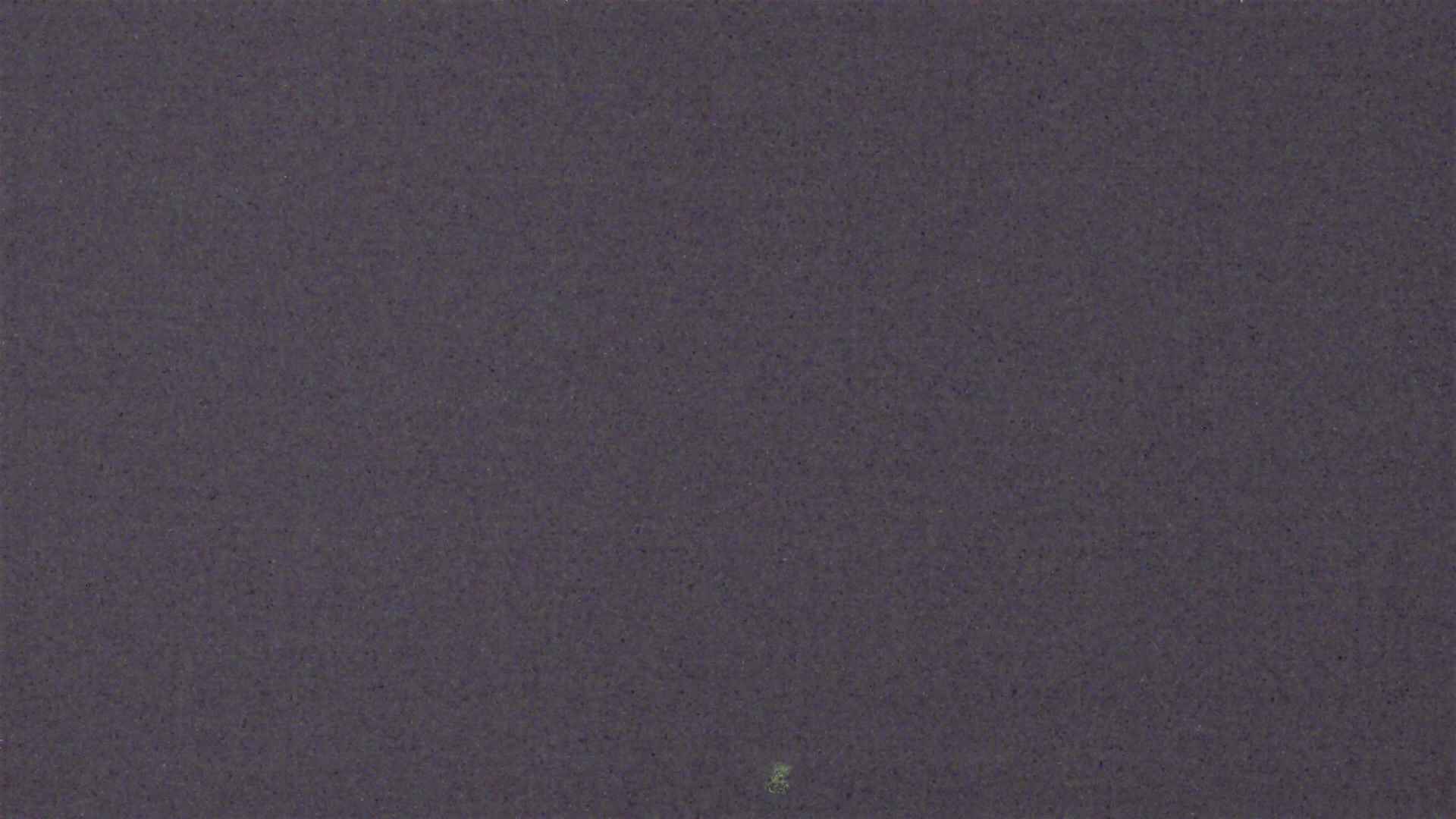 Cradle Mountain Dove Lake Carpark snow cam captured at 14 September 2026 at 8:58 pm AEST