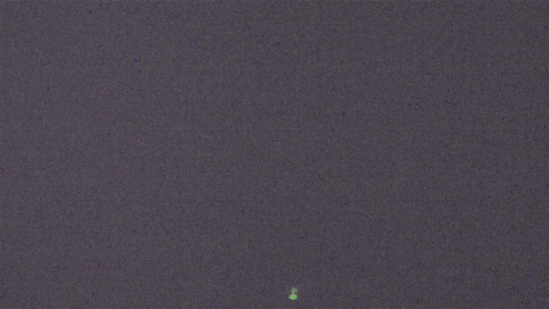 Cradle Mountain Dove Lake Carpark snow cam captured at 15 September 2026 at 11:50 pm AEST