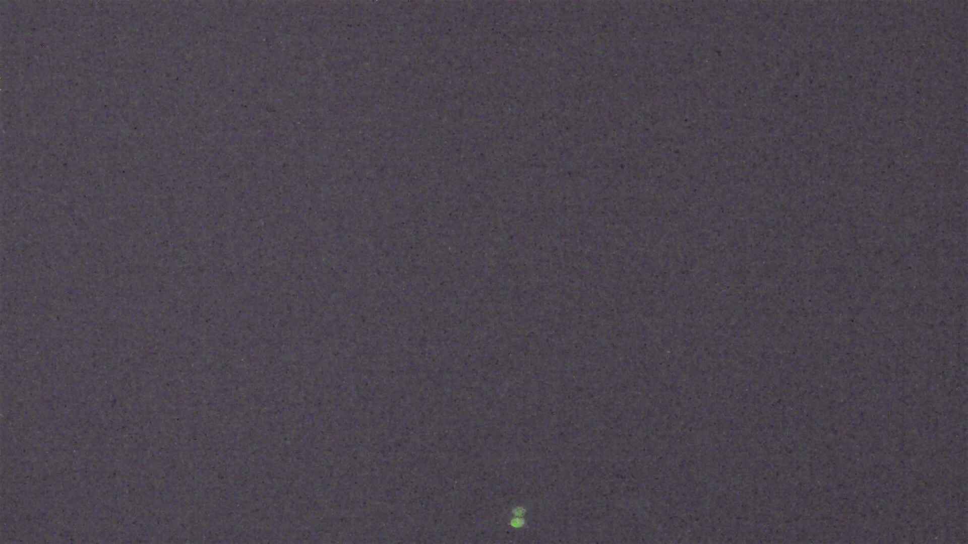 Cradle Mountain archive representative frame captured at 16 September 2026 at 12:52 am AEST