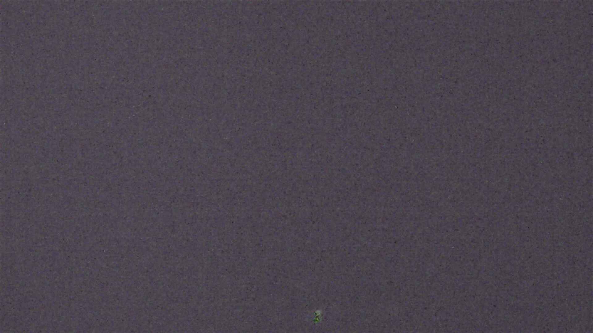 Cradle Mountain Dove Lake Carpark snow cam captured at 16 September 2026 at 1:23 am AEST