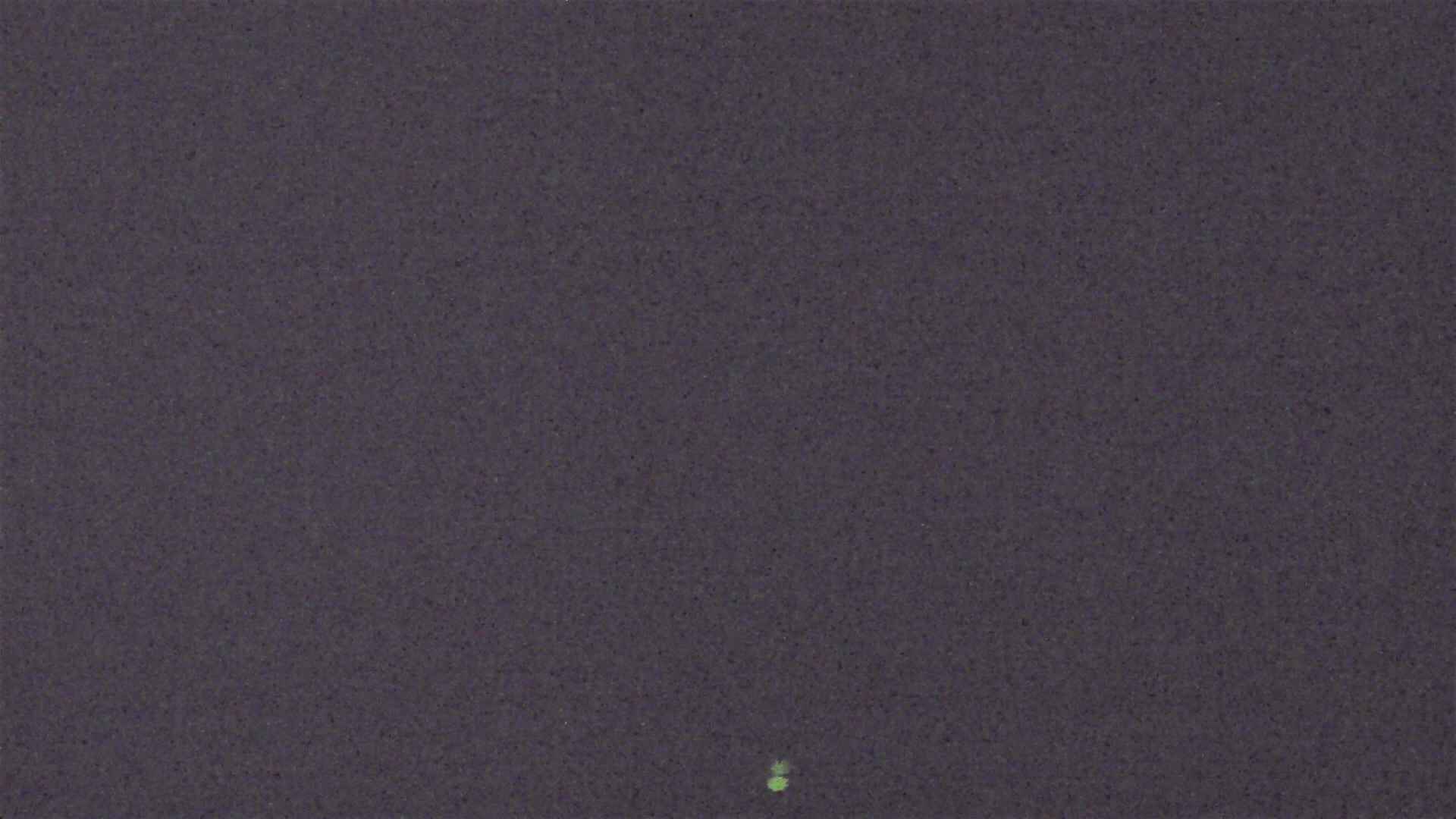 Cradle Mountain Dove Lake Carpark snow cam captured at 30 September 2026 at 9:07 pm AEST
