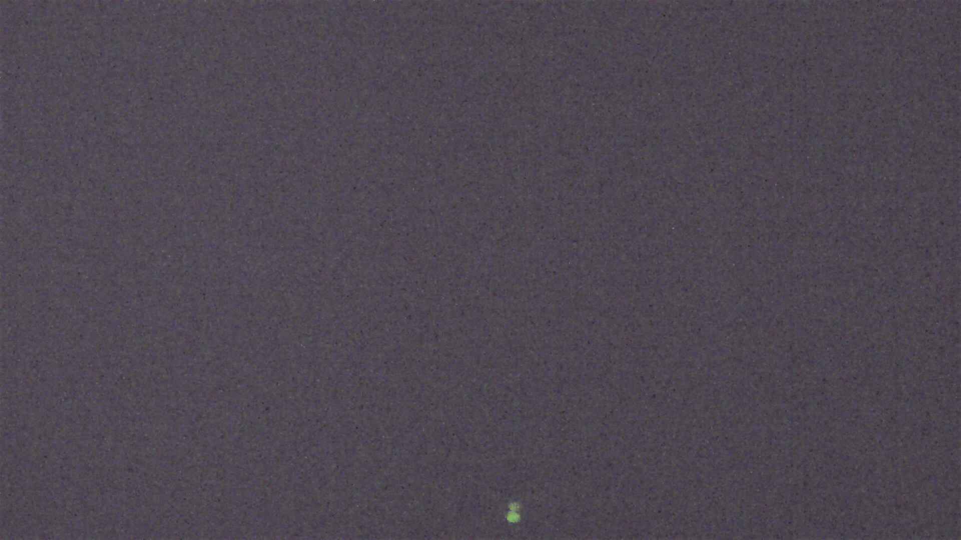 Cradle Mountain Dove Lake Carpark snow cam captured at 2 October 2026 at 9:17 pm AEST
