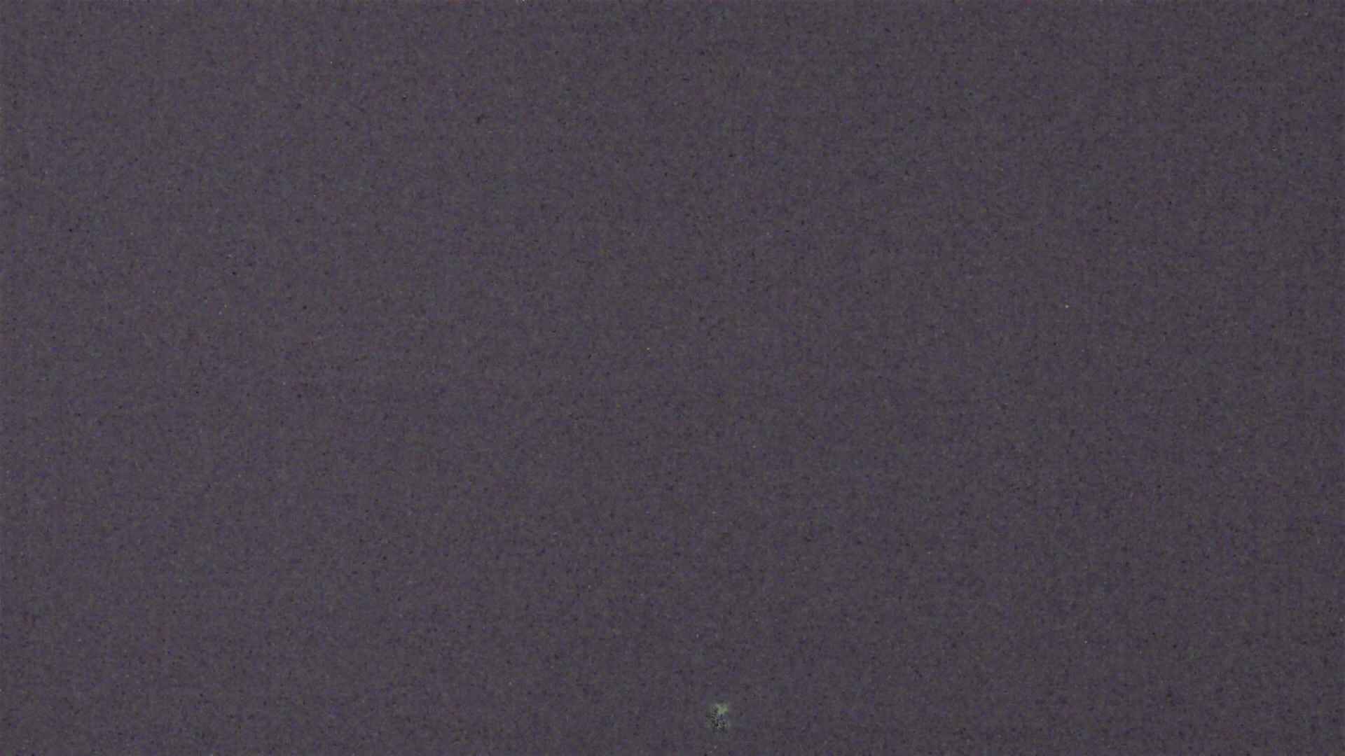 Cradle Mountain Dove Lake Carpark snow cam captured at 3 October 2026 at 9:06 pm AEST