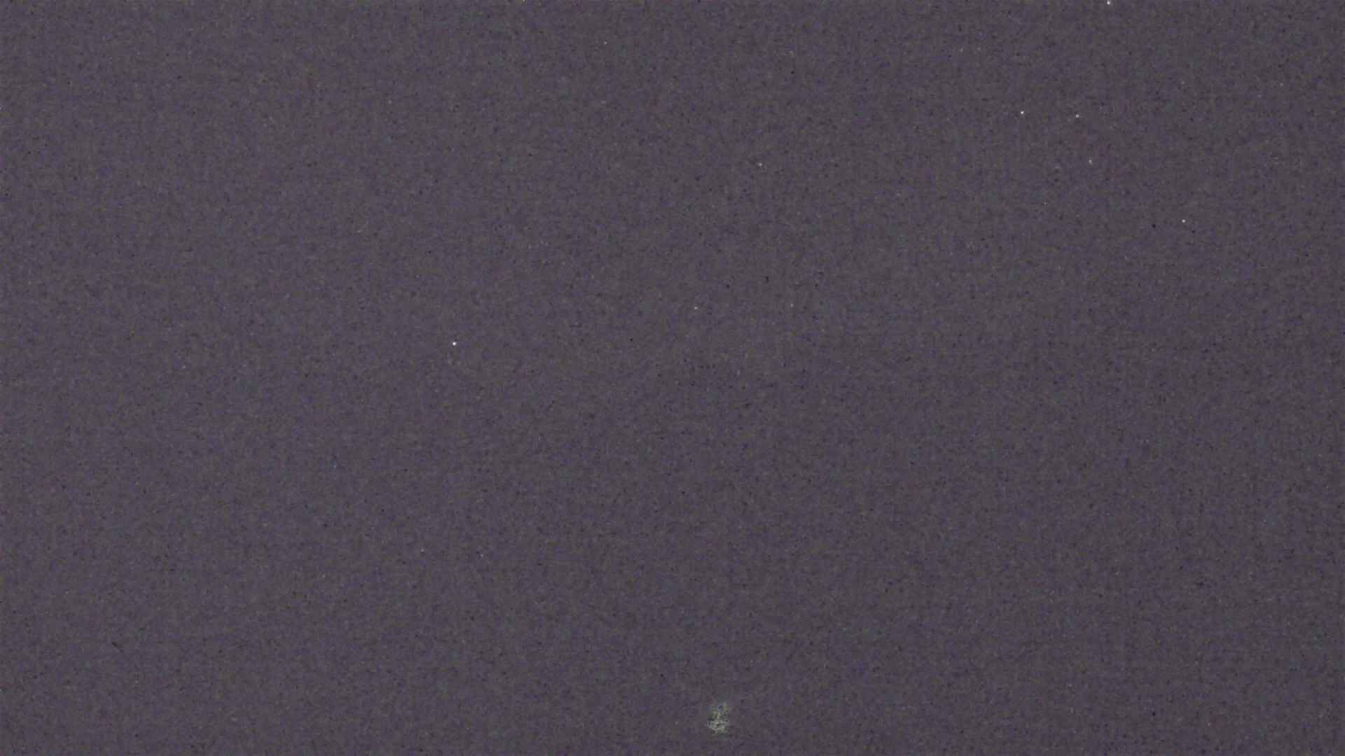 Cradle Mountain Dove Lake Carpark snow cam captured at 4 October 2026 at 8:54 pm AEDT