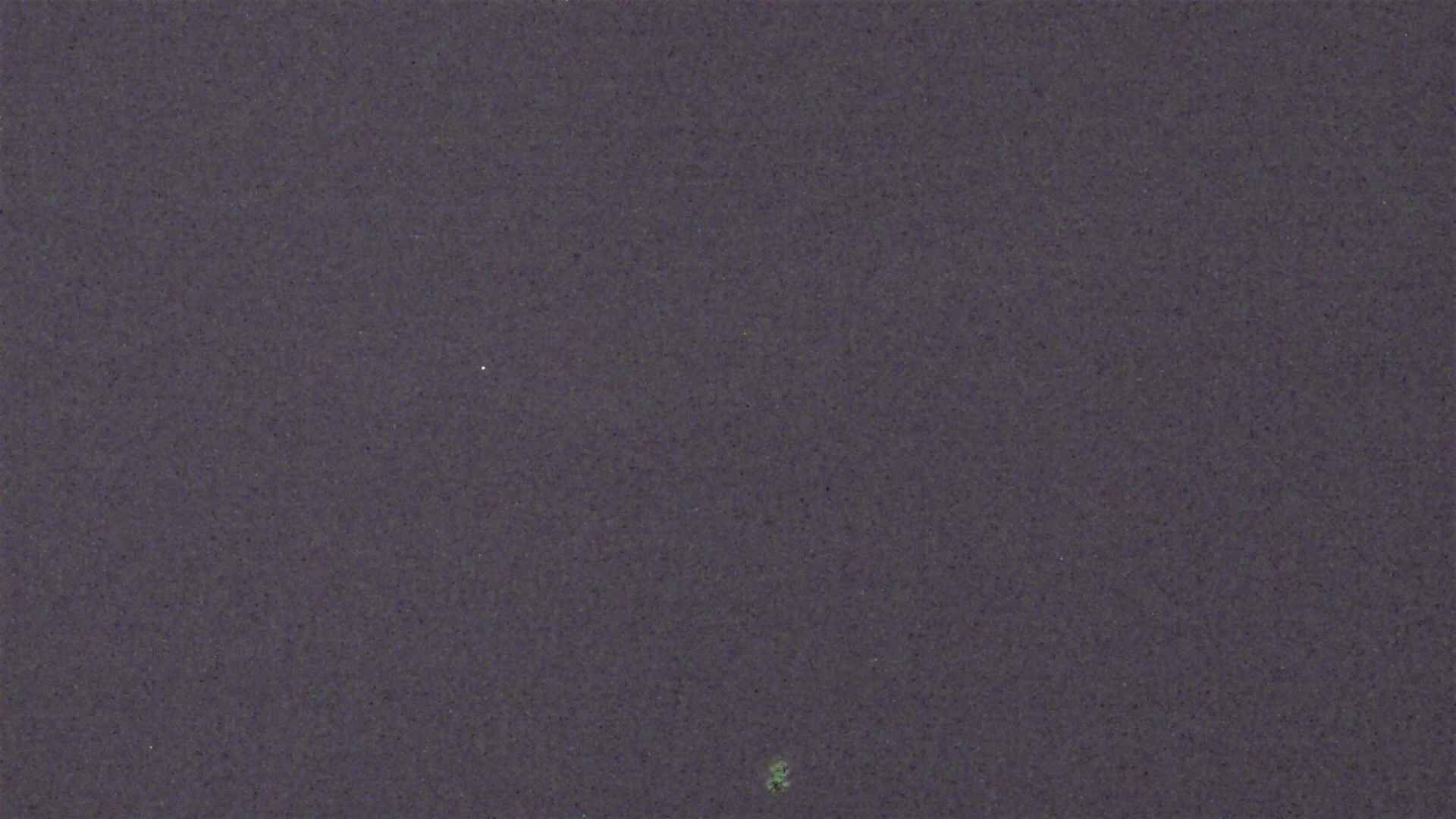 Cradle Mountain Dove Lake Carpark snow cam captured at 5 October 2026 at 9:15 pm AEDT