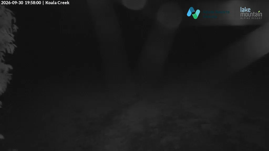 Lake Mountain Koala Creek snow cam captured at 30 September 2026 at 8:03 pm AEST