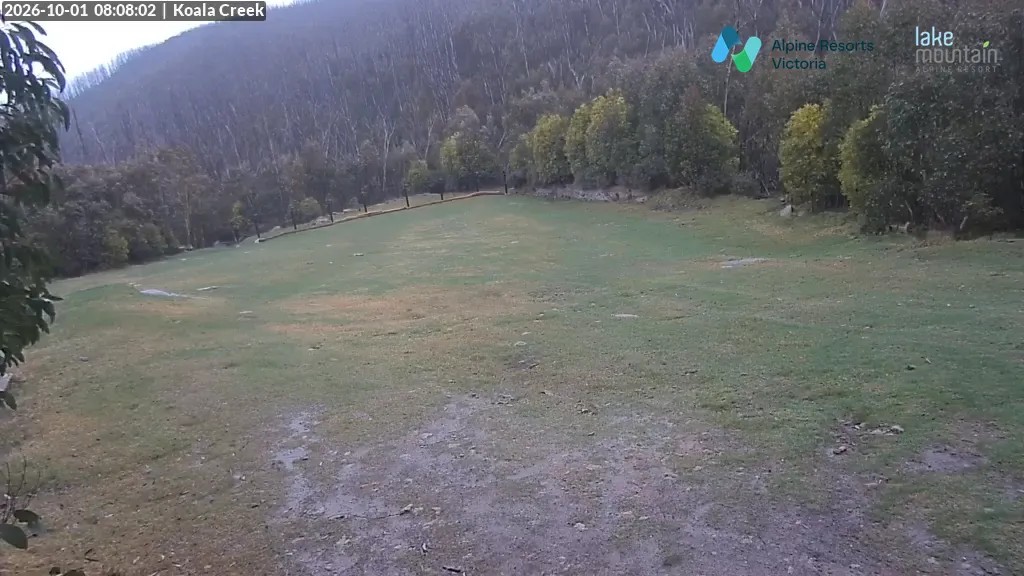 Lake Mountain Koala Creek snow cam captured at 1 October 2026 at 8:12 am AEST