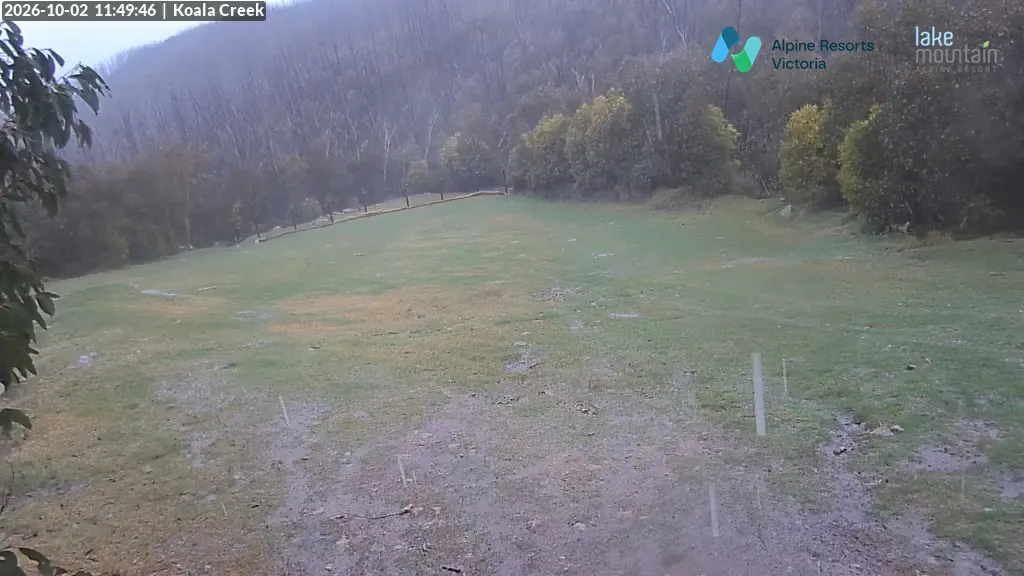 Lake Mountain Koala Creek snow cam captured at 2 October 2026 at 12:01 pm AEST