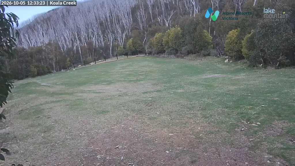 Lake Mountain Koala Creek snow cam captured at 5 October 2026 at 12:34 pm AEDT