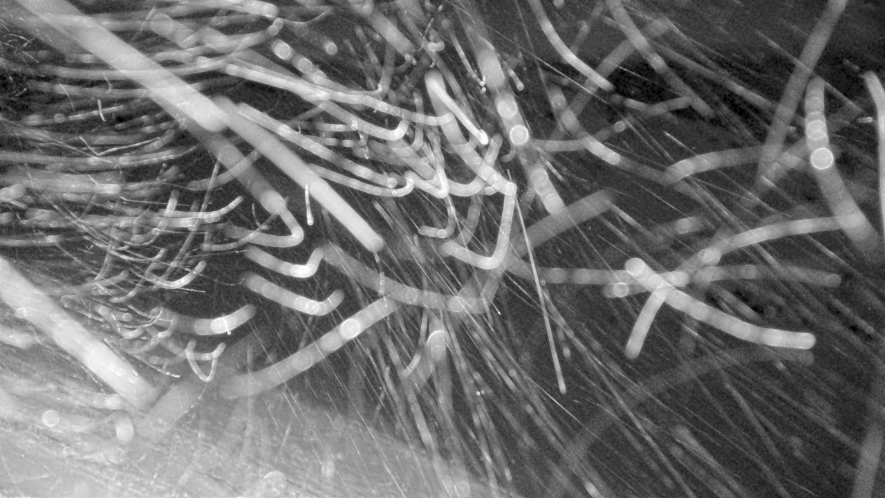 The Remarkables Shadow Basin snow cam captured at 28 September 2026 at 9:06 pm NZDT