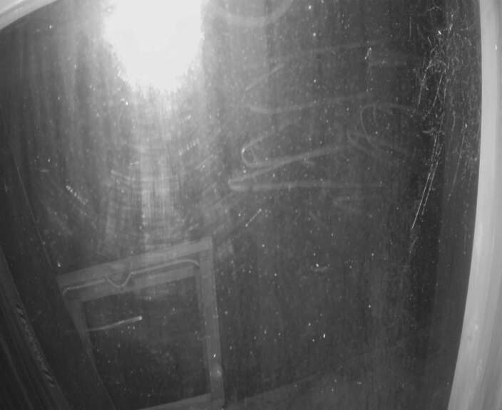 Tūroa Alpine Meadow snow cam captured at 3 October 2026 at 11:58 pm NZDT