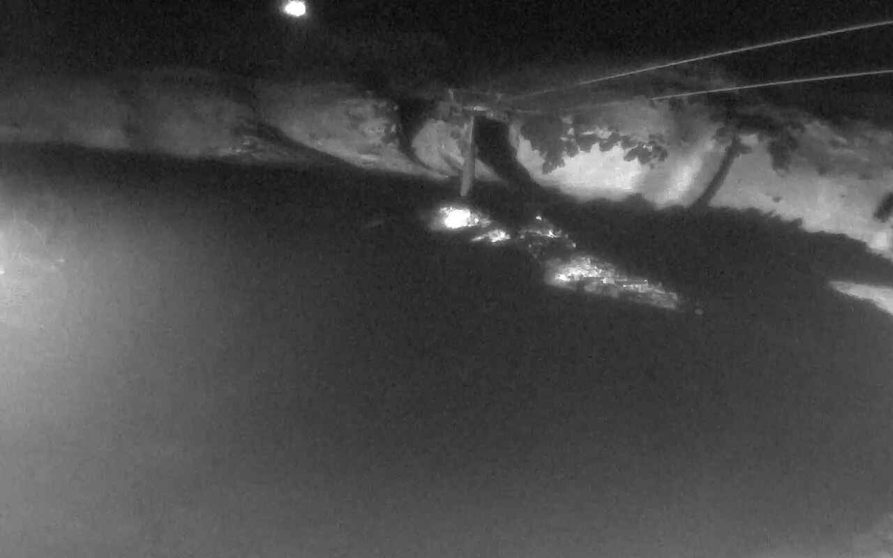 Tūroa The Giant snow cam captured at 14 September 2026 at 11:56 pm NZST