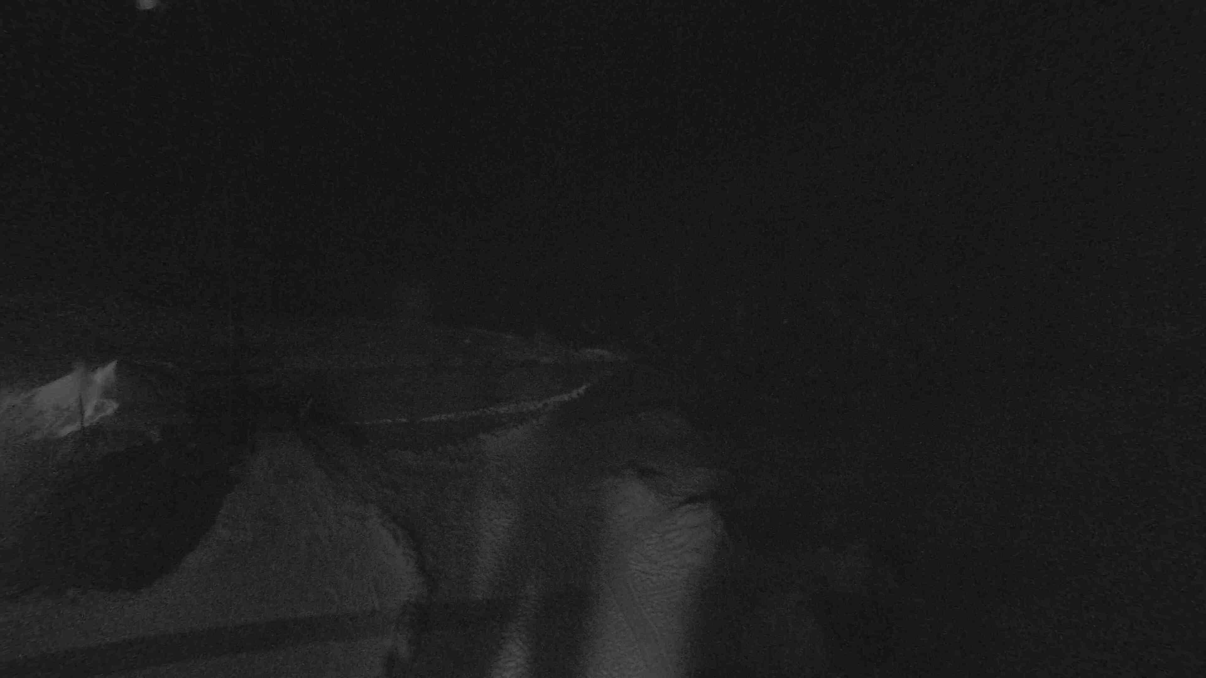 Whakapapa Happy Valley snow cam captured at 13 September 2026 at 11:48 pm NZST