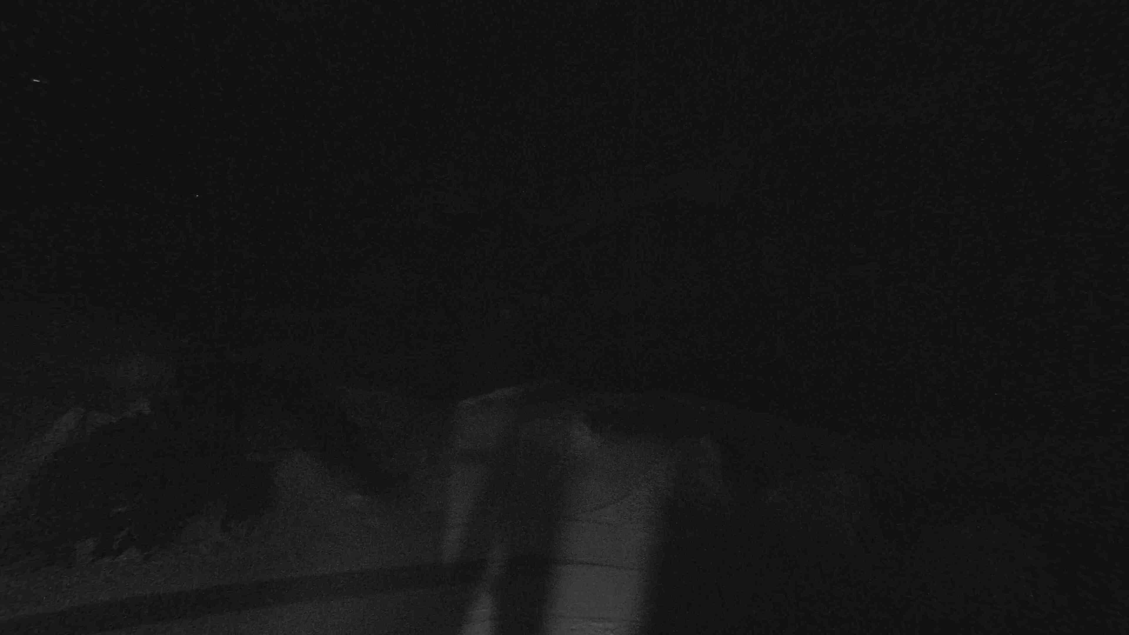 Whakapapa Happy Valley snow cam captured at 1 October 2026 at 11:48 pm NZDT