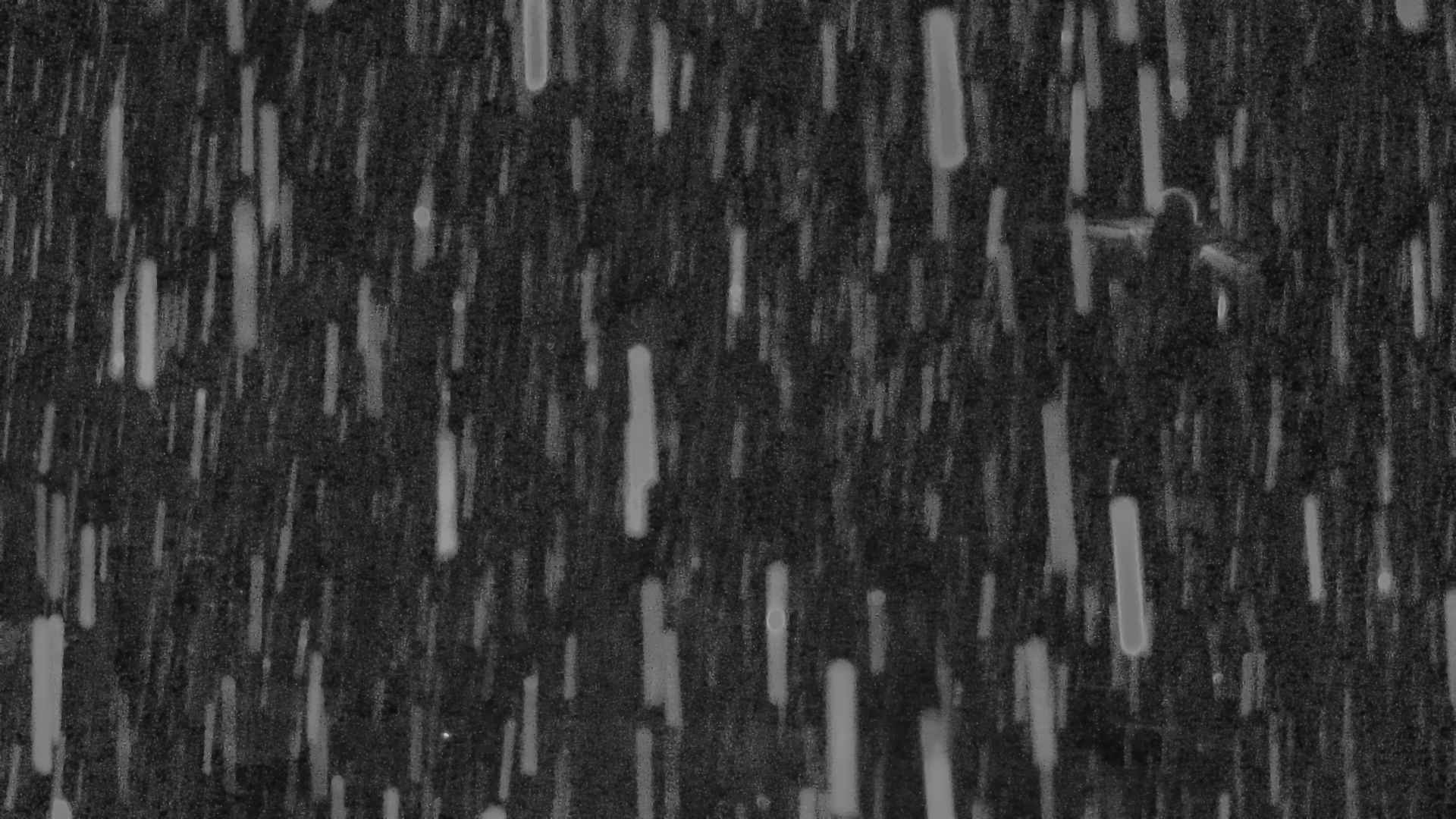 Whakapapa Snowland snow cam captured at 10 September 2026 at 11:48 pm NZST