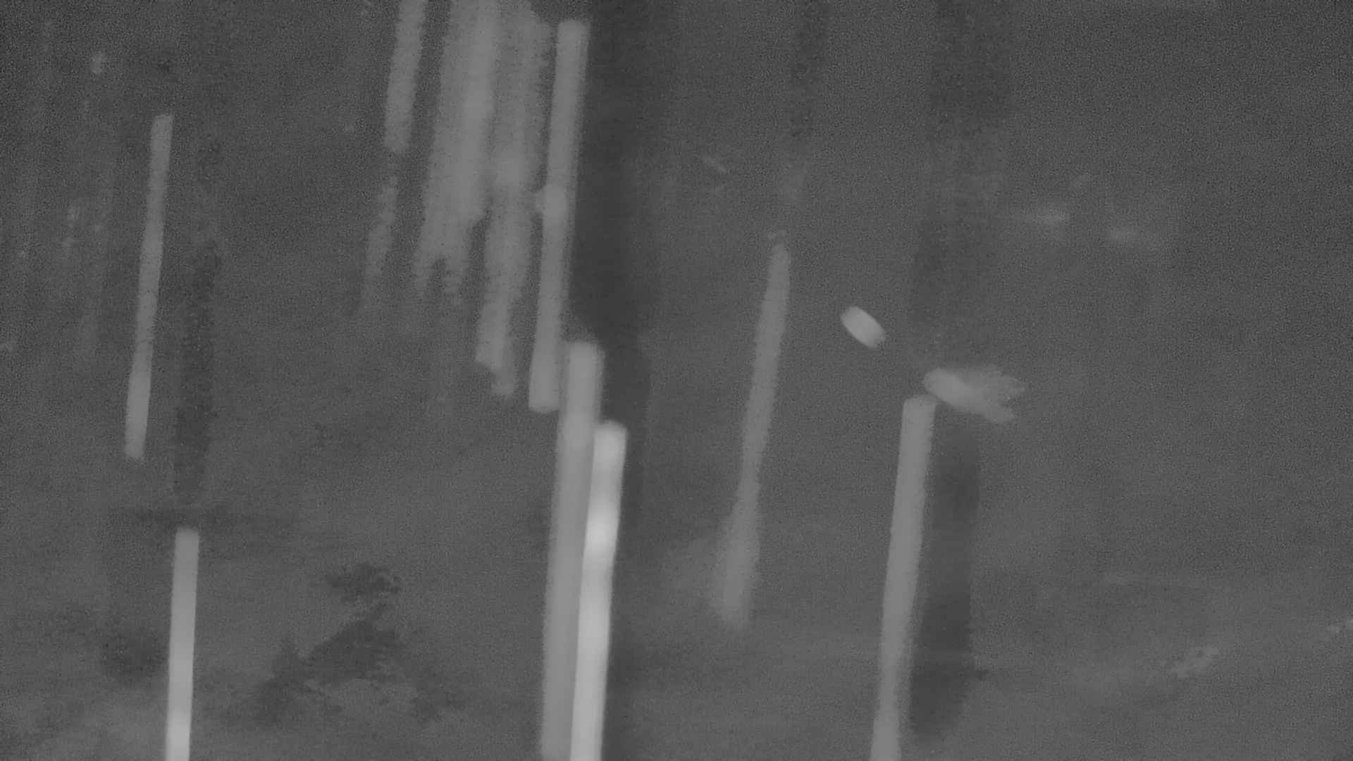 Whakapapa Snowland snow cam captured at 25 September 2026 at 11:46 pm NZST