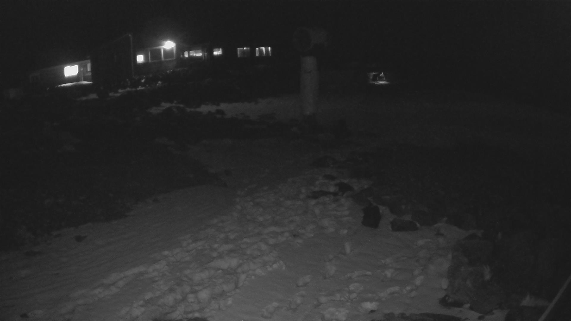 Whakapapa Hut Flat snow cam captured at 8 September 2026 at 11:48 pm NZST
