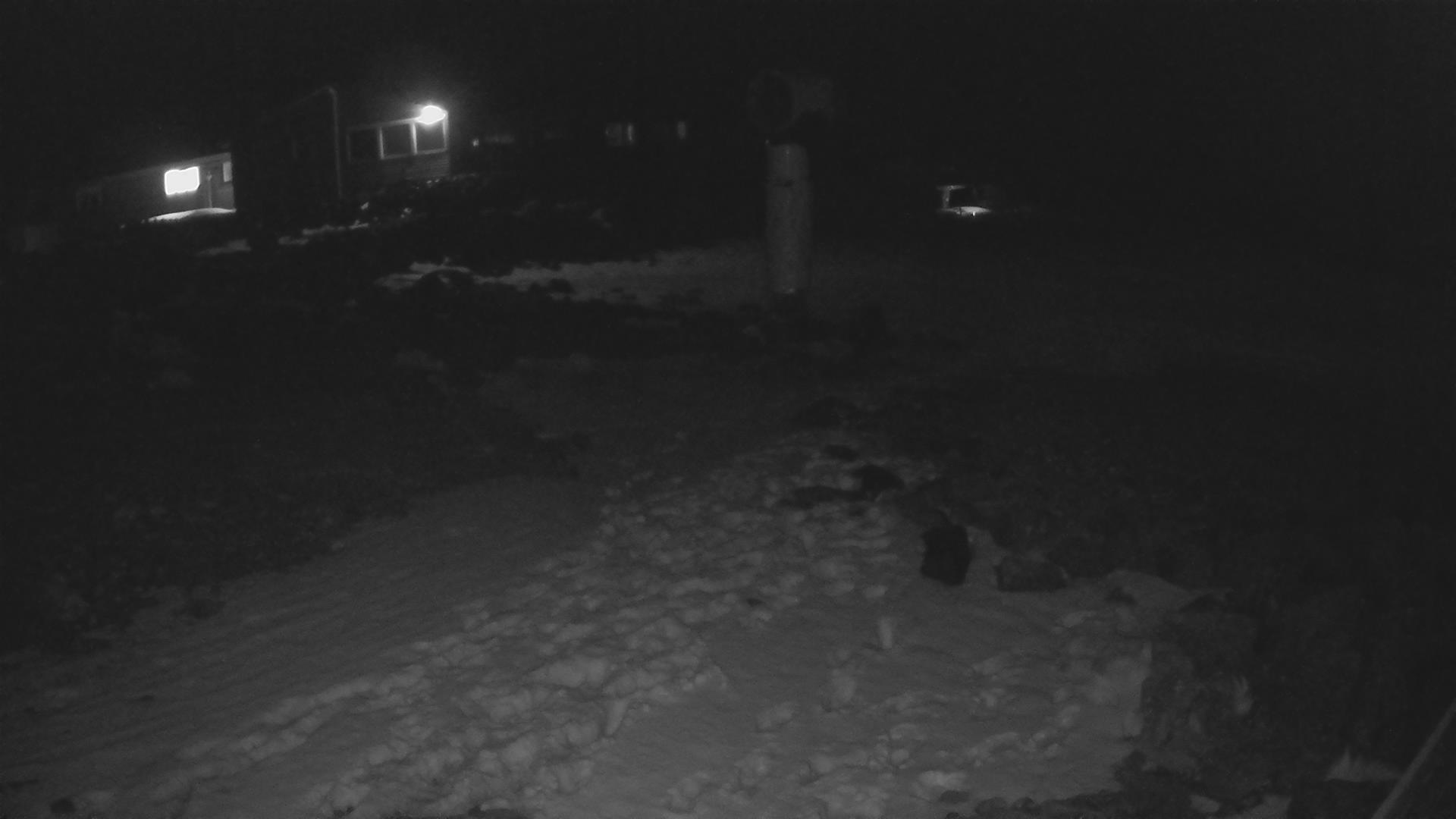 Whakapapa Hut Flat snow cam captured at 9 September 2026 at 11:48 pm NZST