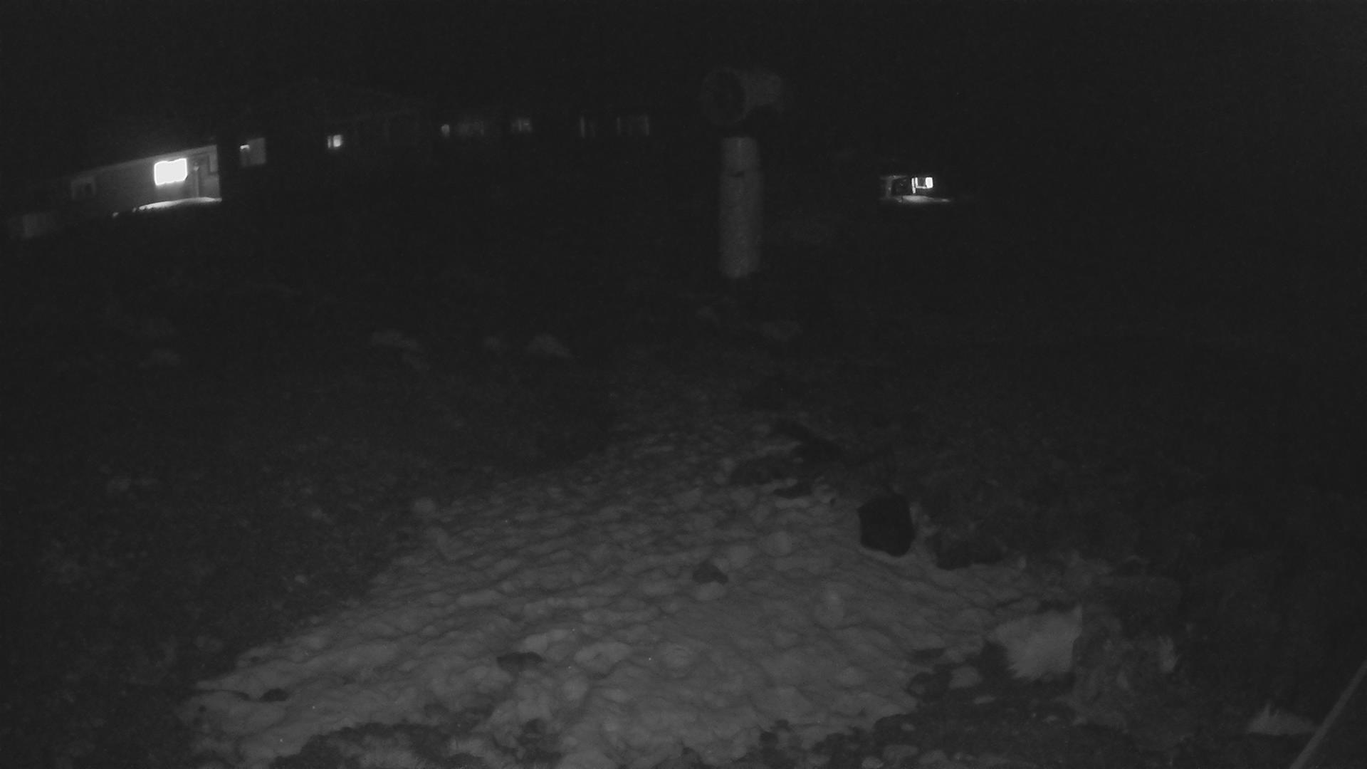 Whakapapa Hut Flat snow cam captured at 13 September 2026 at 11:48 pm NZST