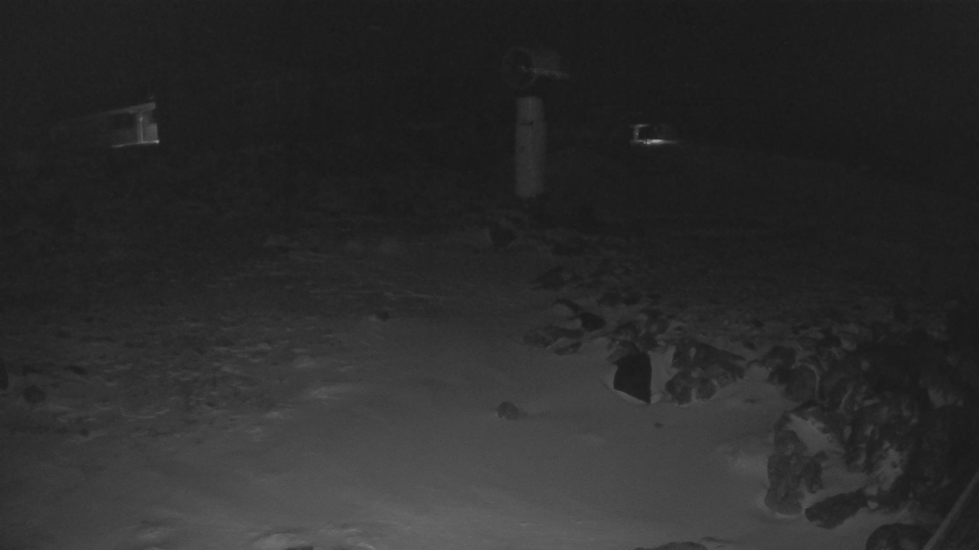 Whakapapa Hut Flat snow cam captured at 20 September 2026 at 11:47 pm NZST