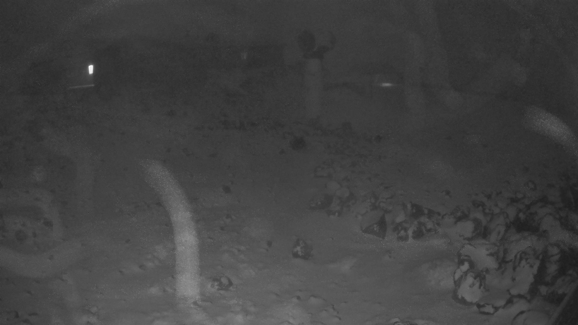 Whakapapa Hut Flat snow cam captured at 25 September 2026 at 11:46 pm NZST