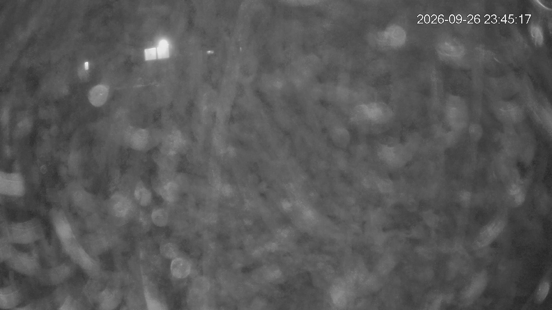 Whakapapa Hut Flat snow cam captured at 26 September 2026 at 11:48 pm NZST